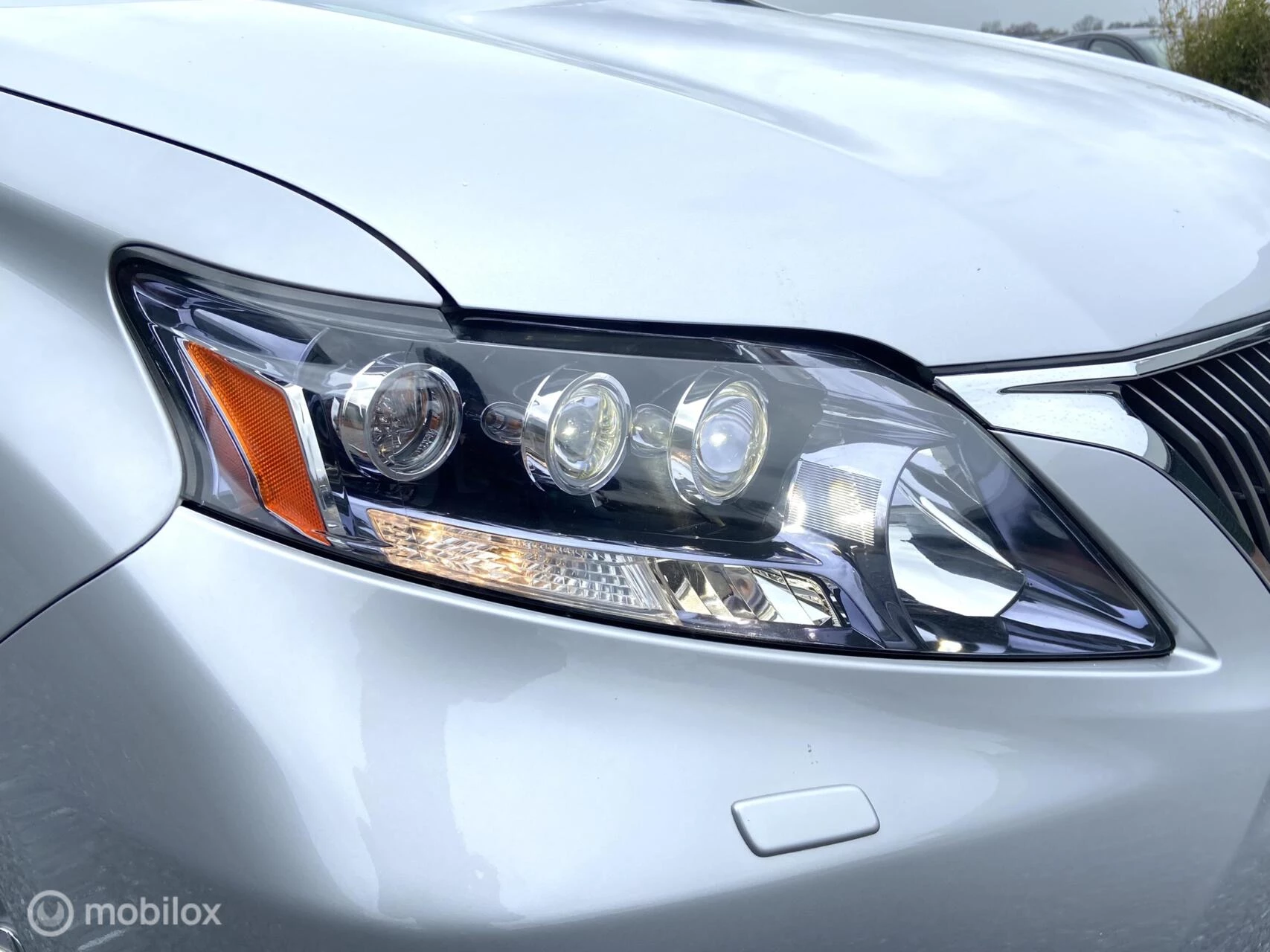 Hoofdafbeelding Lexus RX