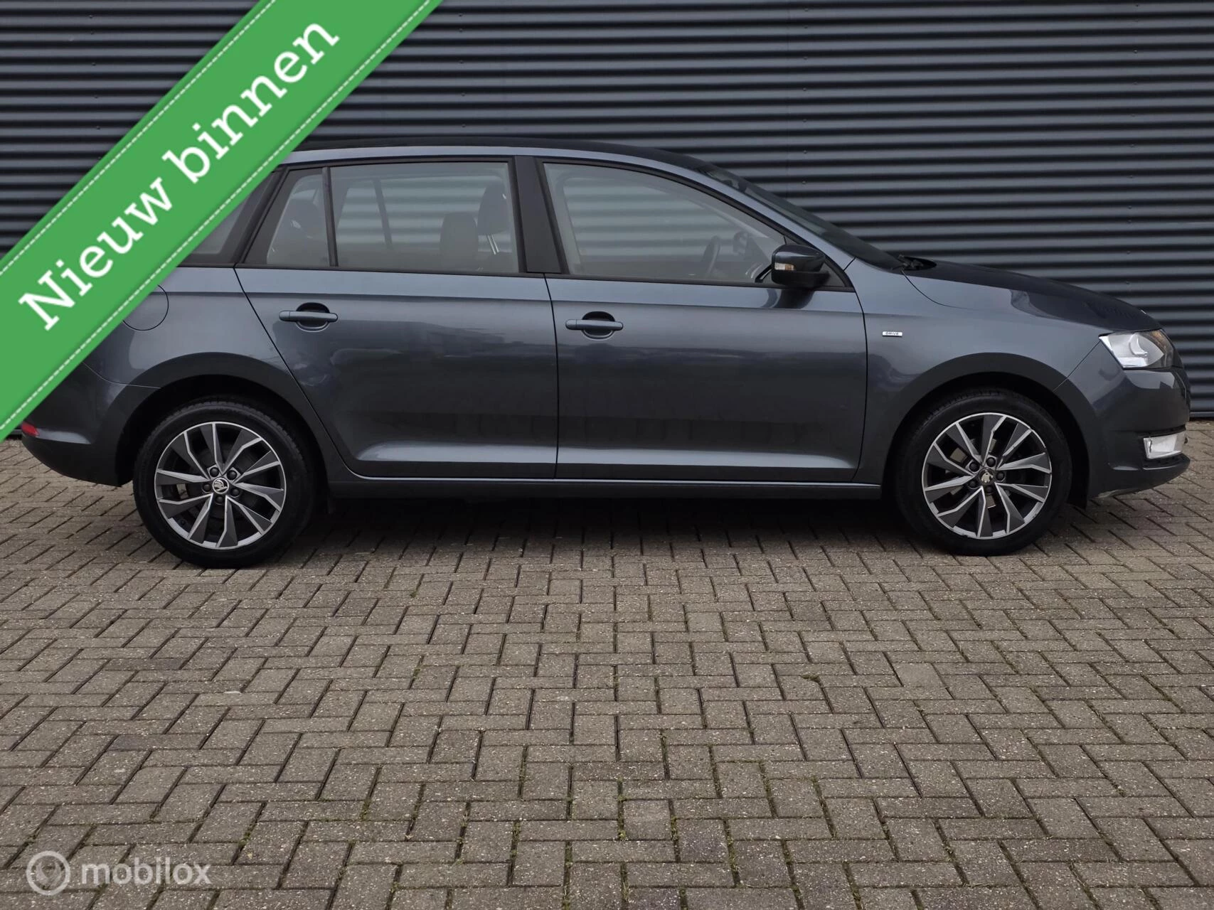 Hoofdafbeelding Škoda Rapid