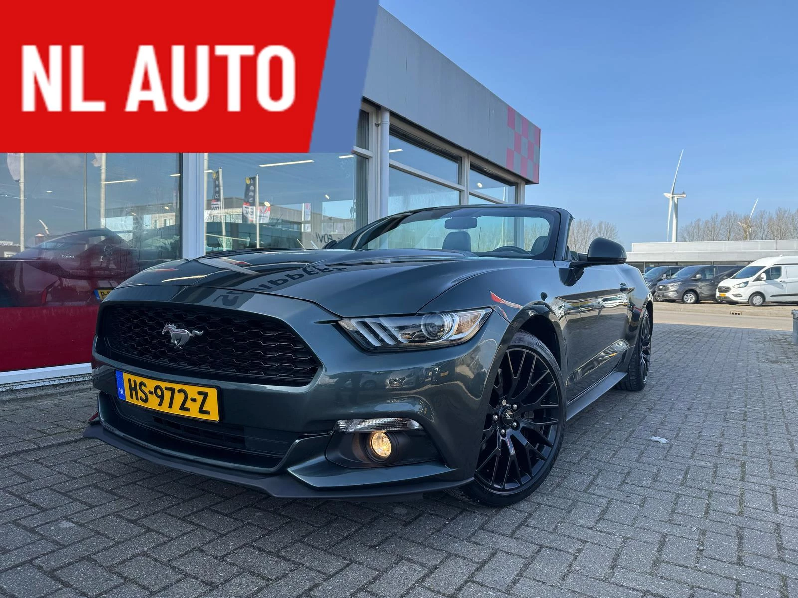 Hoofdafbeelding Ford Mustang