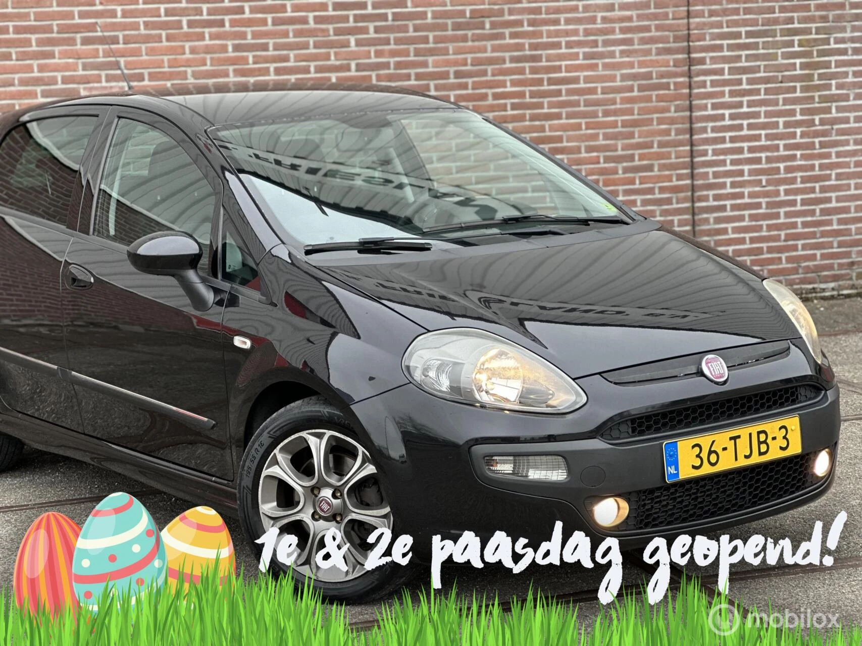 Hoofdafbeelding Fiat Punto