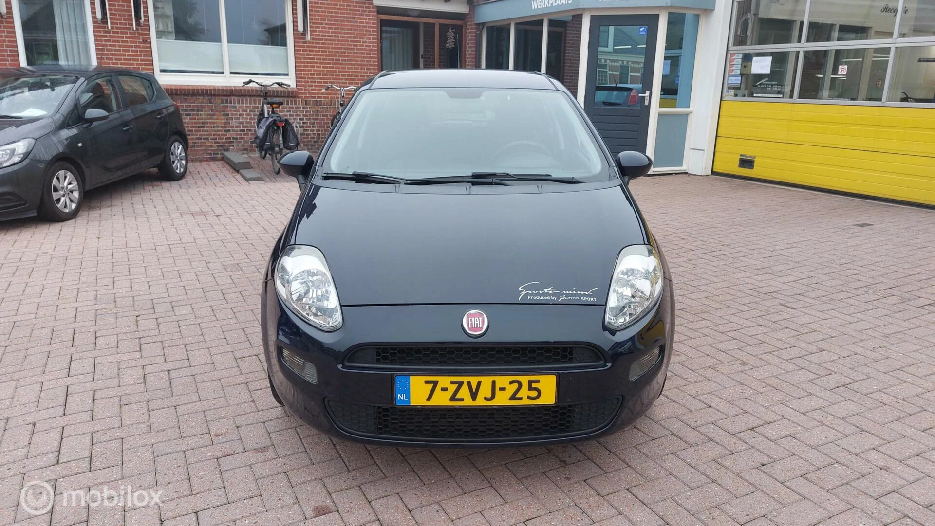 Hoofdafbeelding Fiat Punto