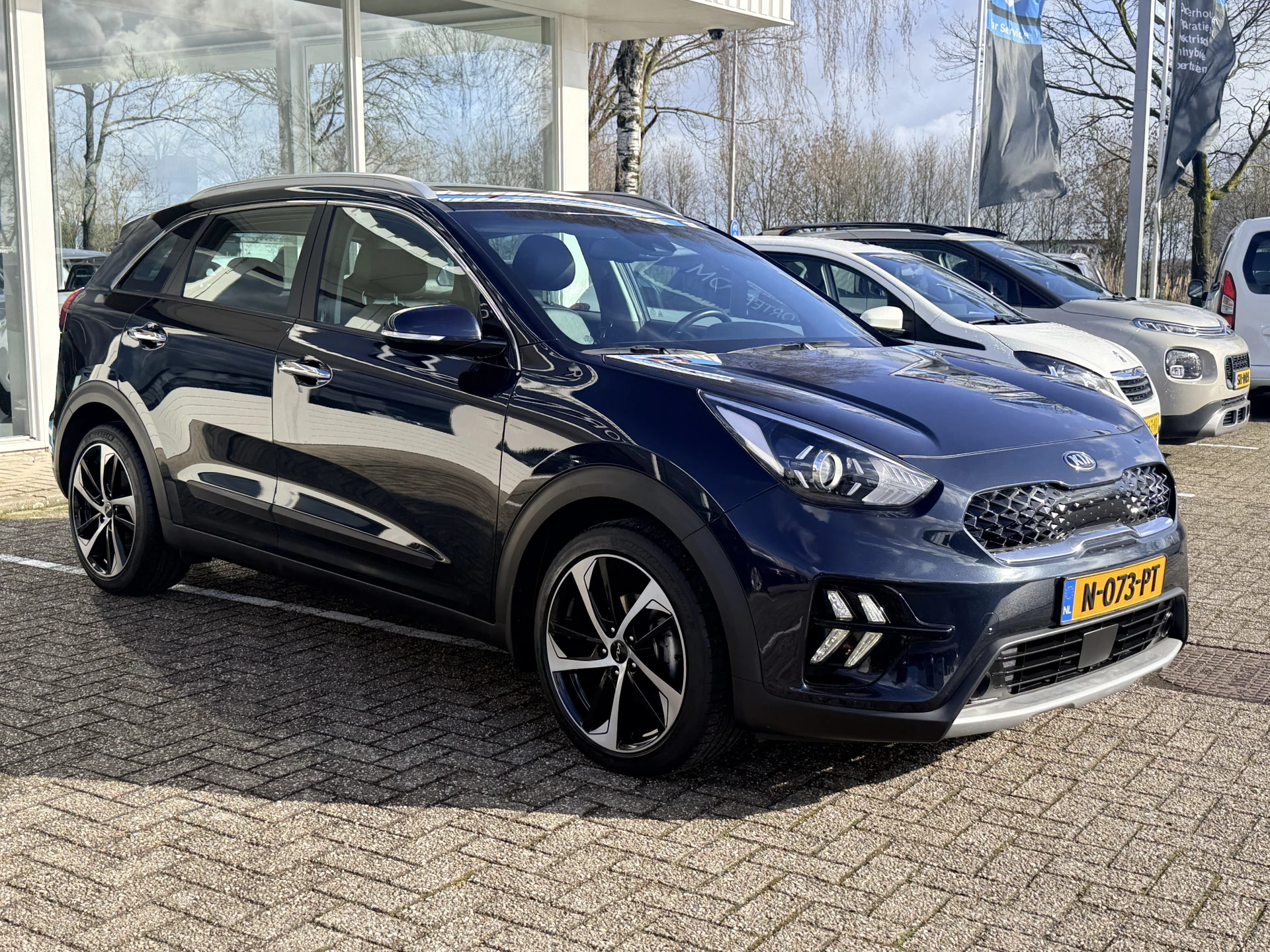 Hoofdafbeelding Kia Niro