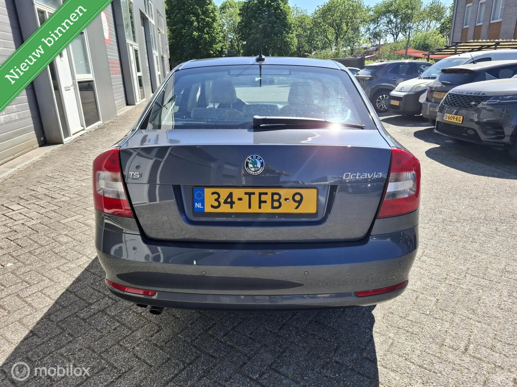 Hoofdafbeelding Škoda Octavia