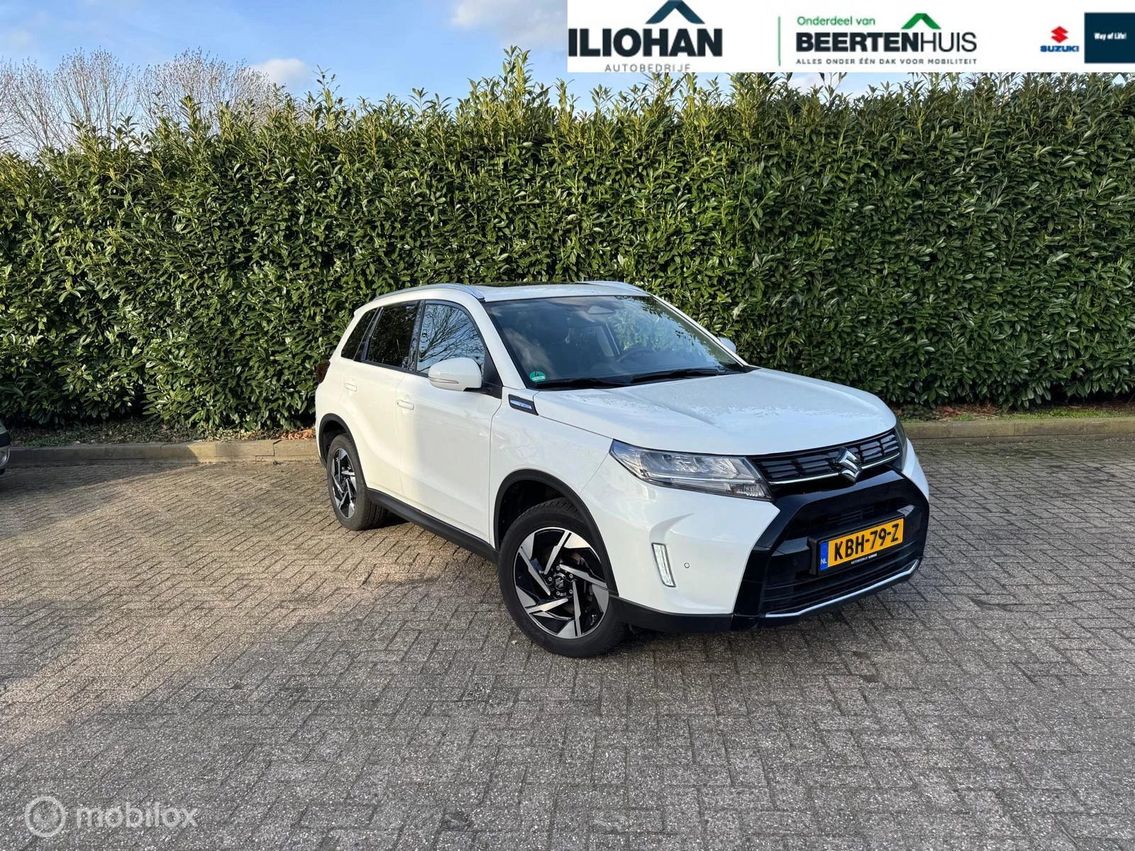Hoofdafbeelding Suzuki Vitara