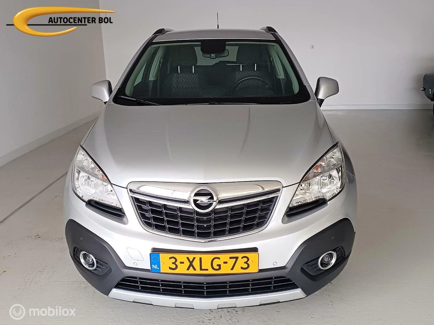 Hoofdafbeelding Opel Mokka