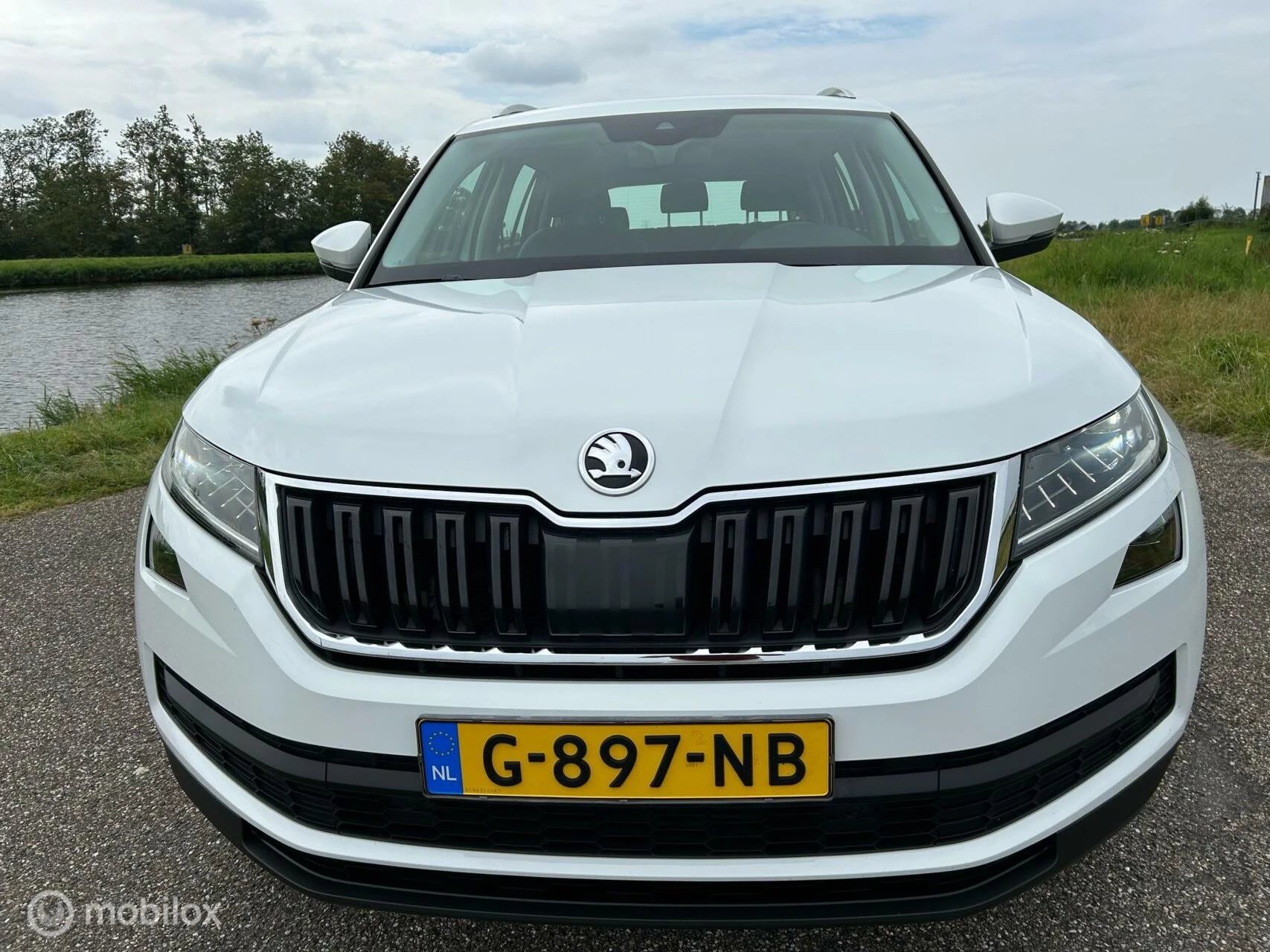 Hoofdafbeelding Škoda Kodiaq