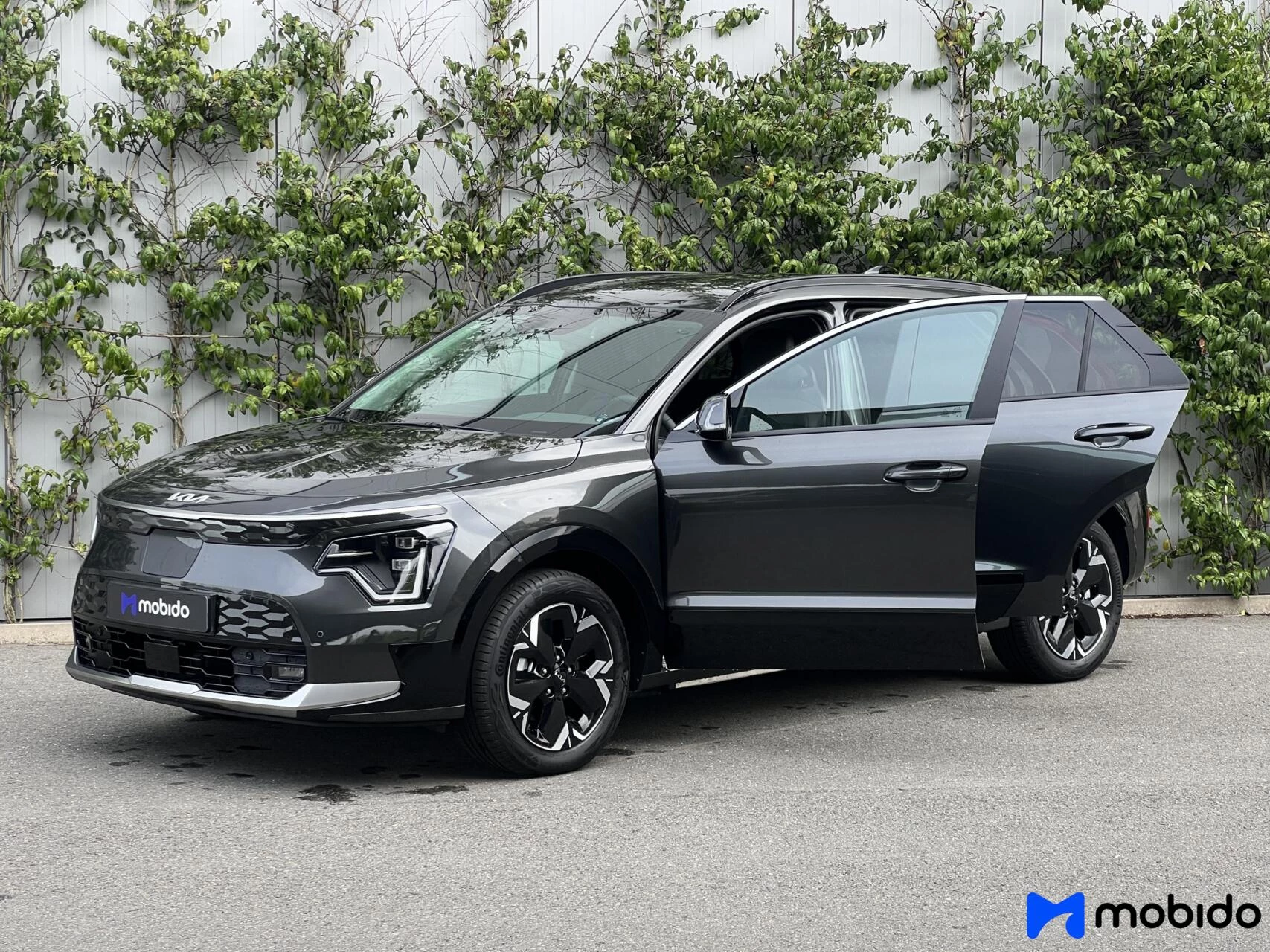 Hoofdafbeelding Kia Niro EV