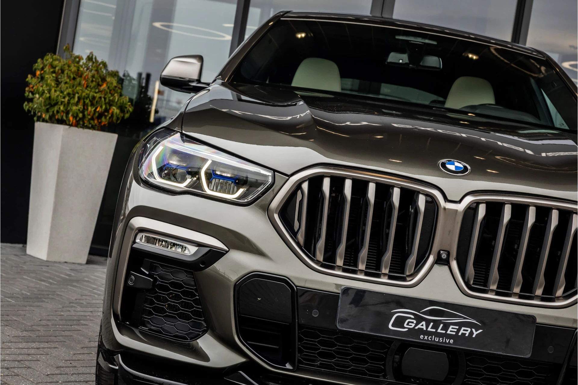 Hoofdafbeelding BMW X6