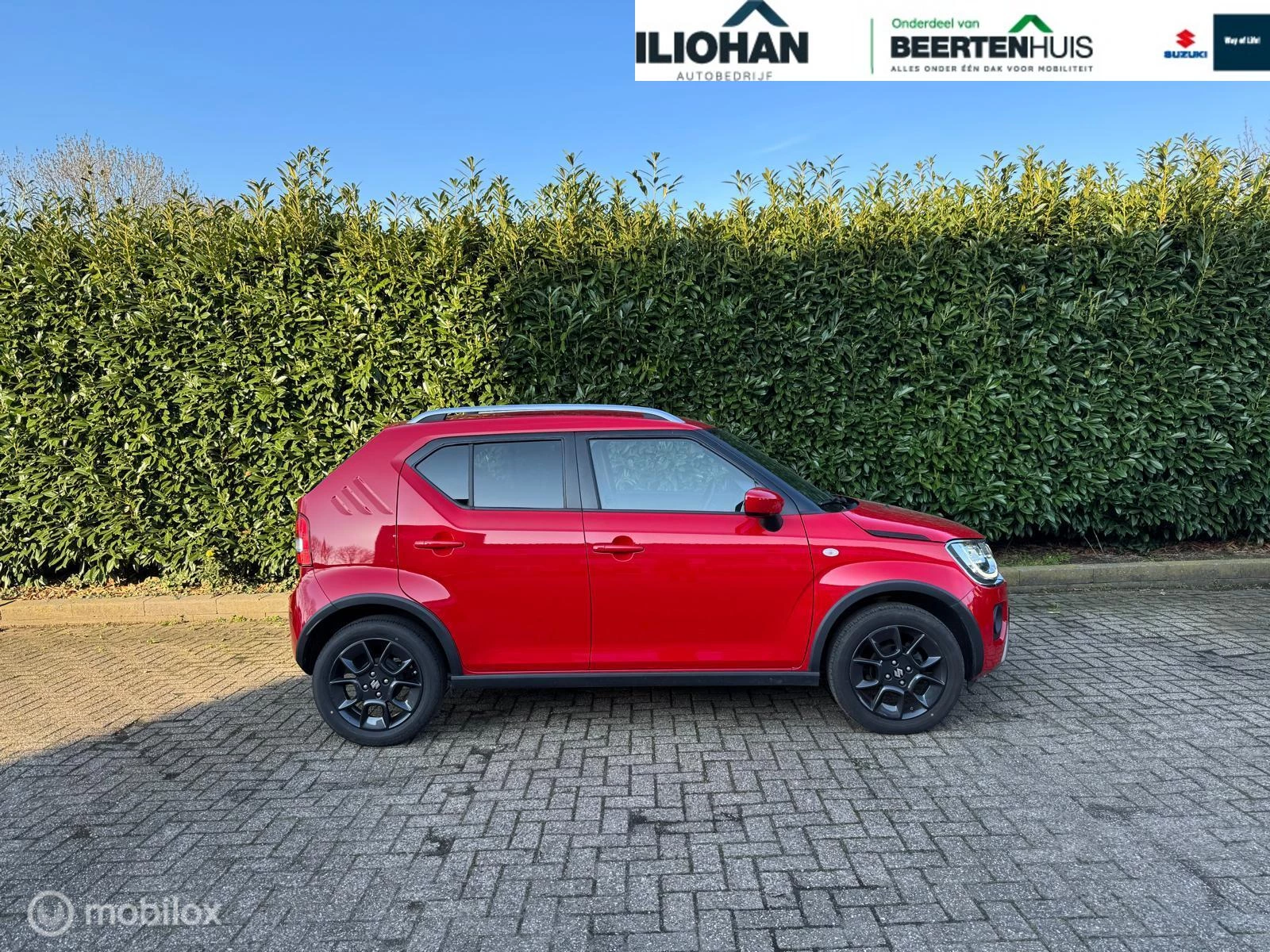 Hoofdafbeelding Suzuki Ignis