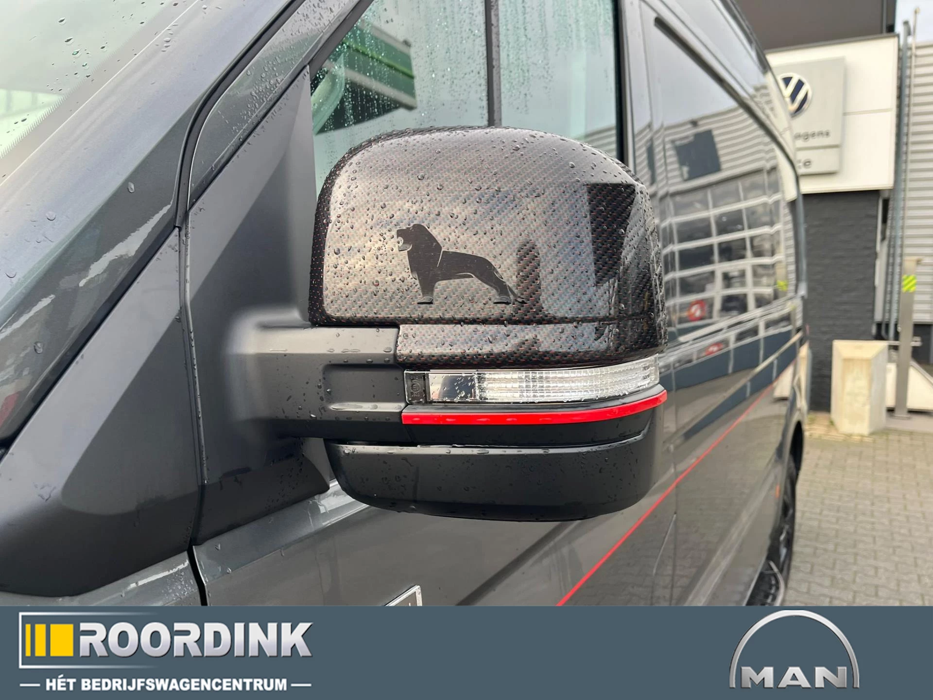 Hoofdafbeelding MAN TGE