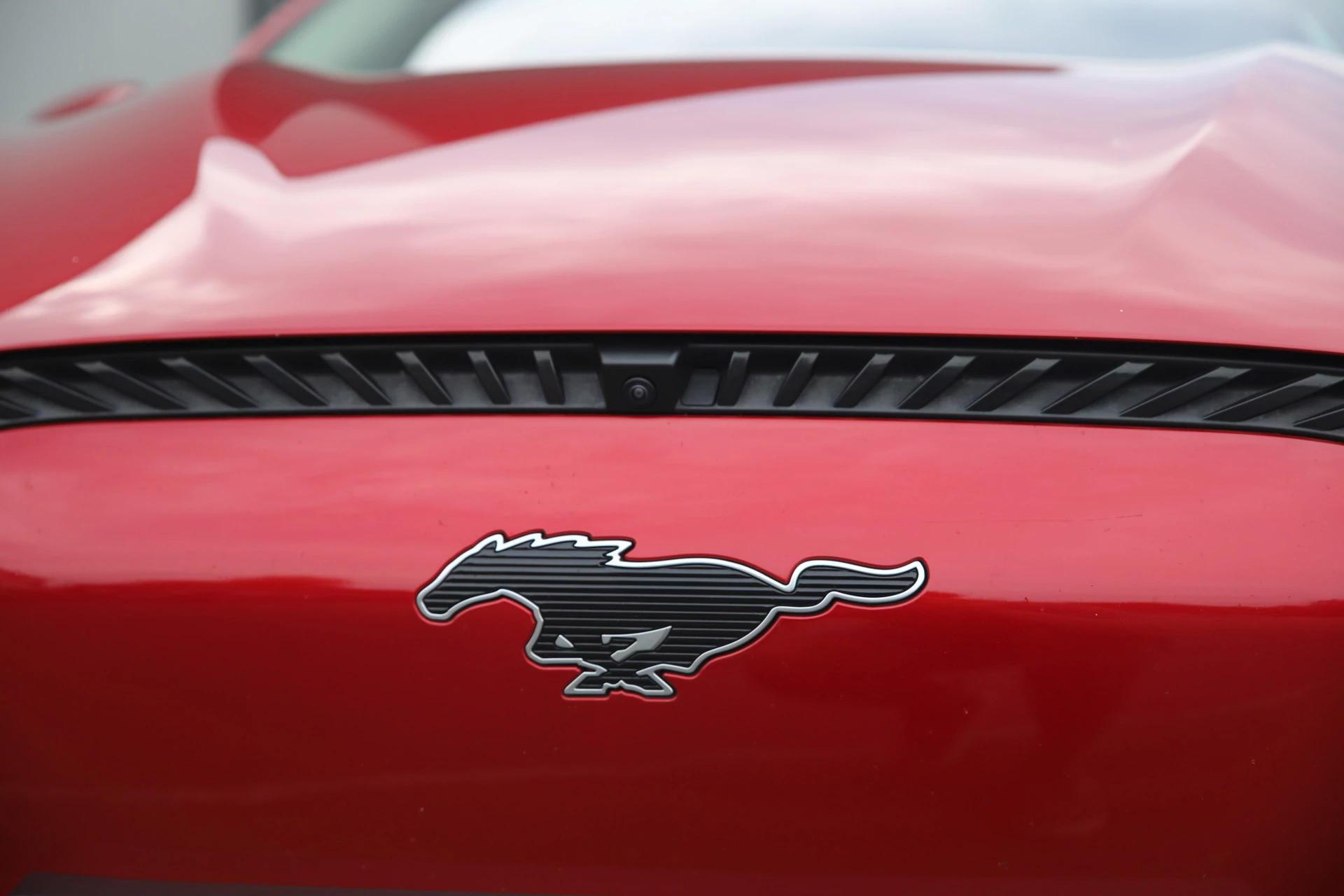 Hoofdafbeelding Ford Mustang Mach-E