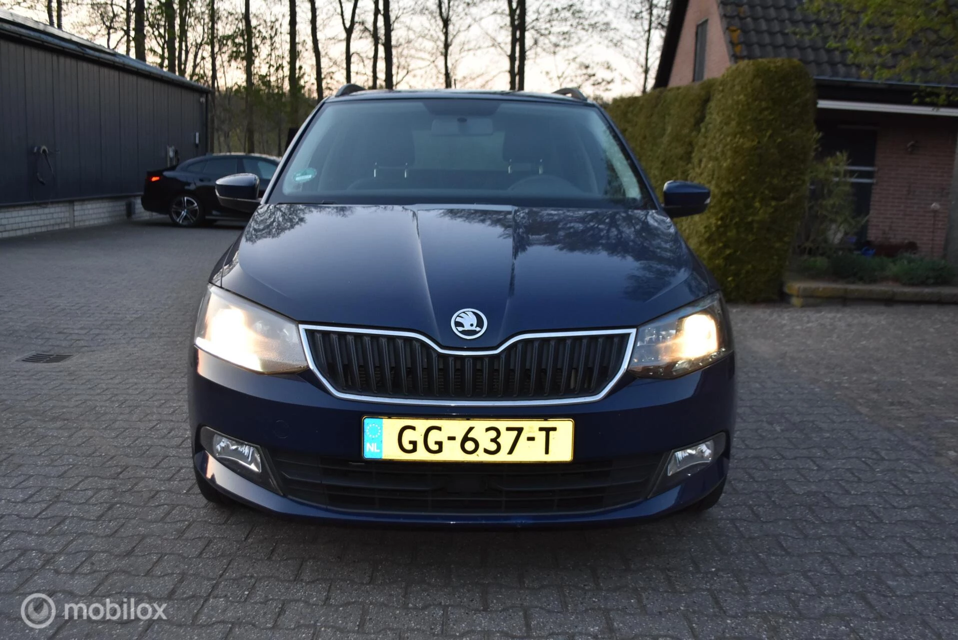 Hoofdafbeelding Škoda Fabia