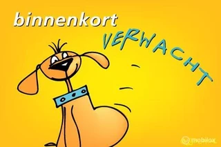 Peugeot 107 1.0 Active,Airco,CV,Elektr.ramen,Stoelverw.,Mistlampen.