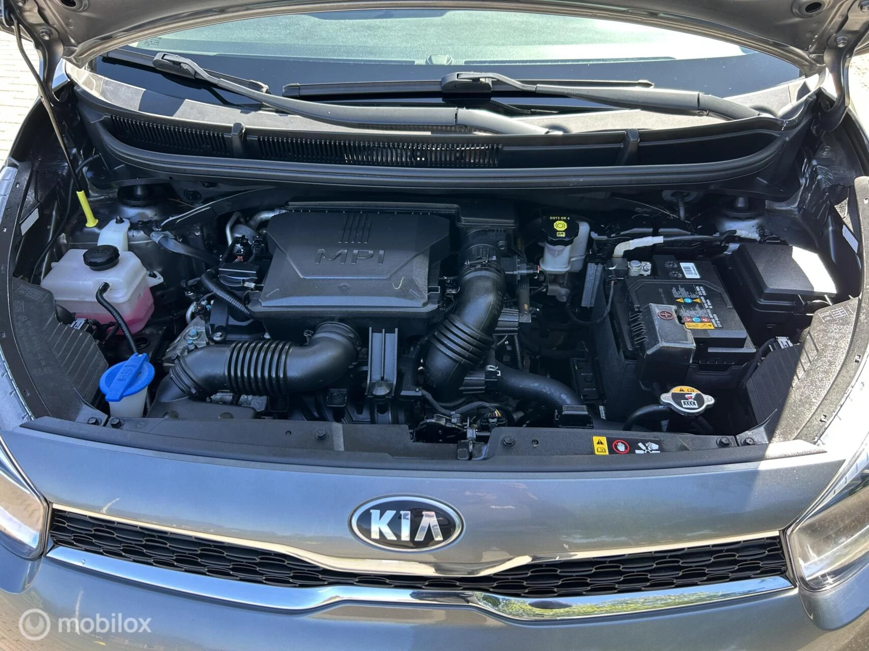 Hoofdafbeelding Kia Picanto