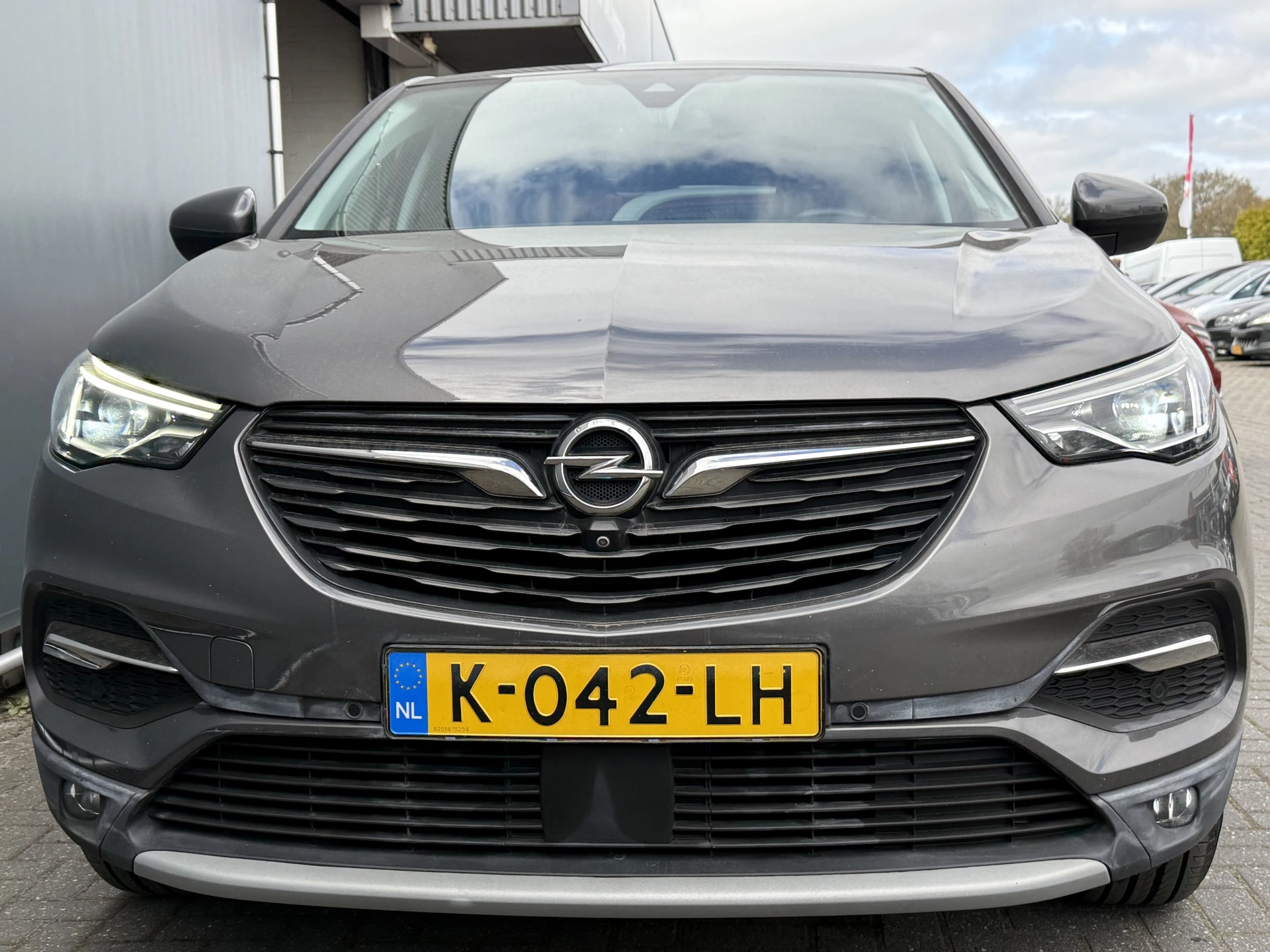 Hoofdafbeelding Opel Grandland X