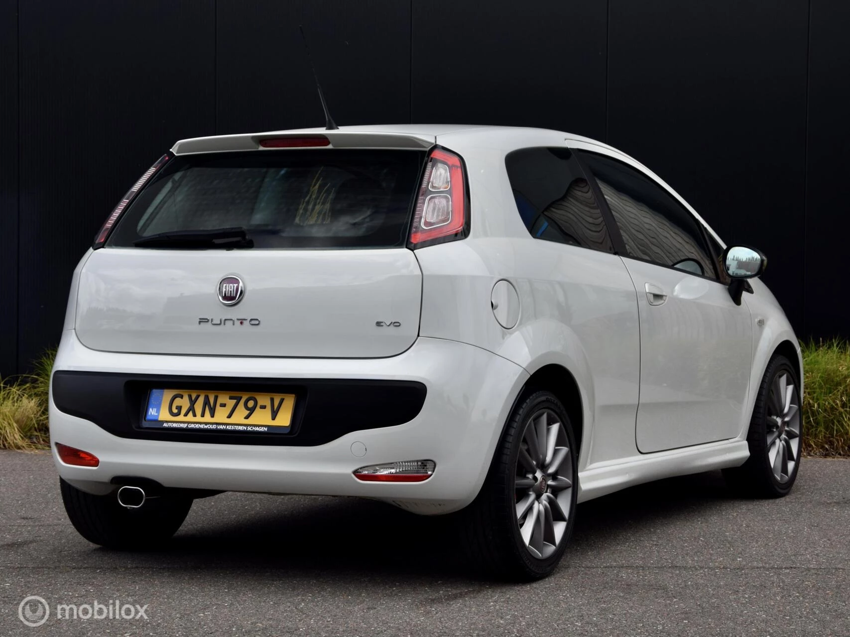 Hoofdafbeelding Fiat Punto