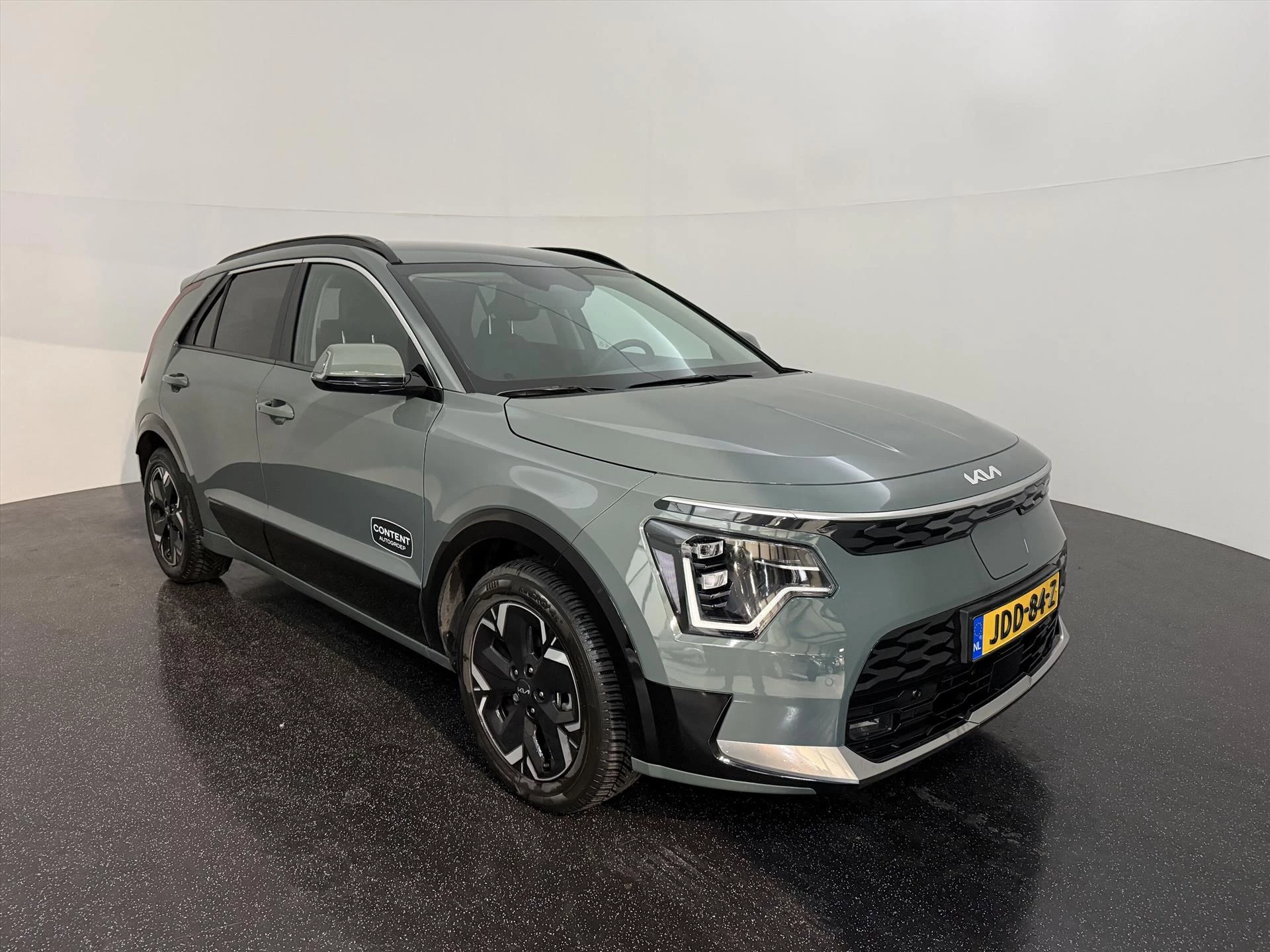 Hoofdafbeelding Kia e-Niro