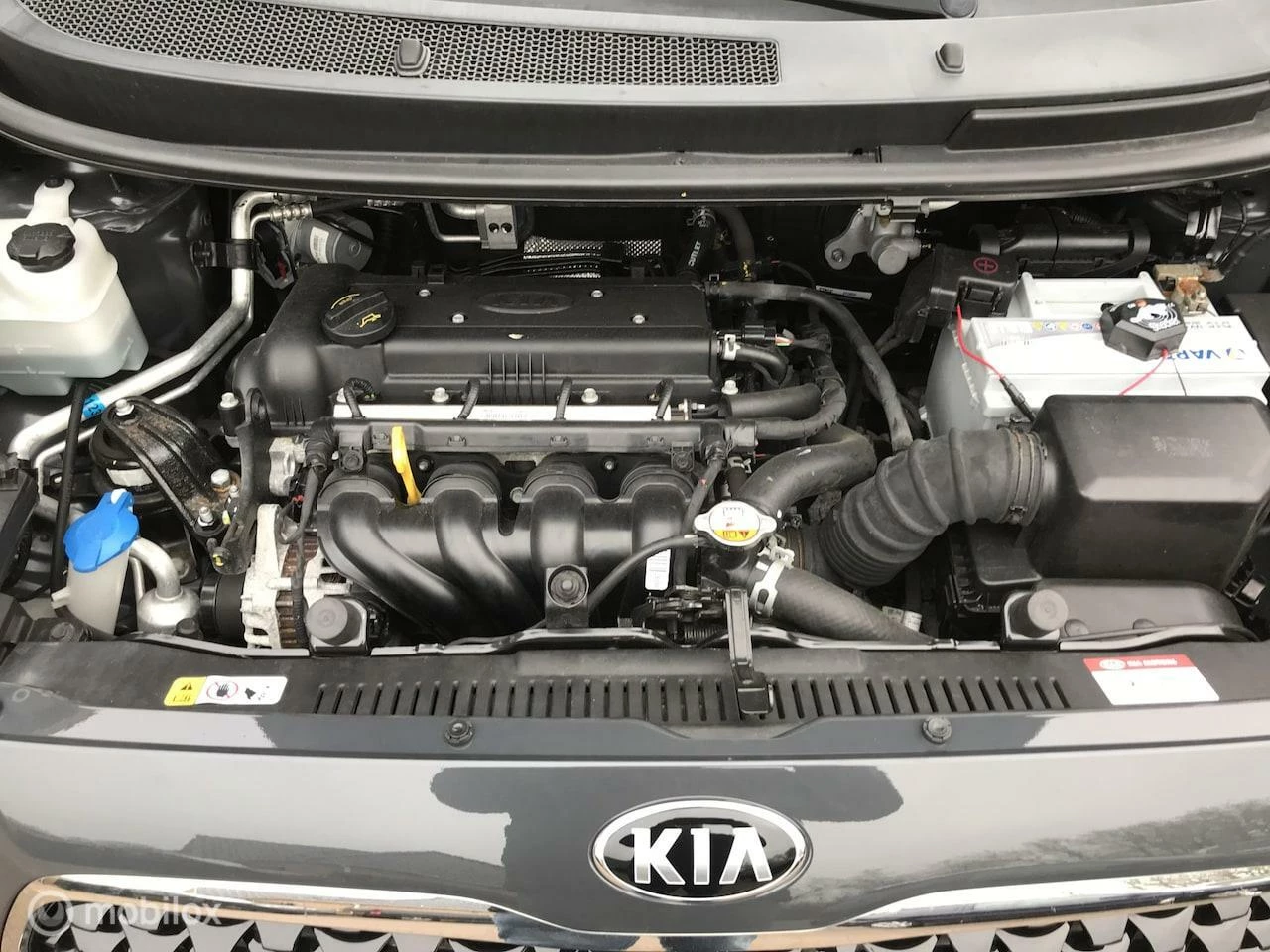 Hoofdafbeelding Kia Venga