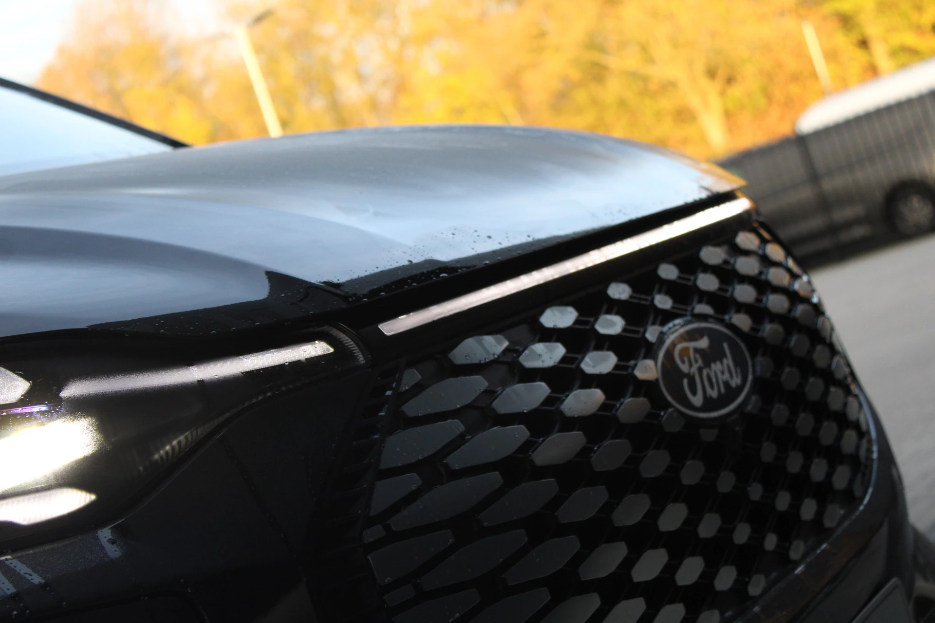 Hoofdafbeelding Ford E-Transit Custom