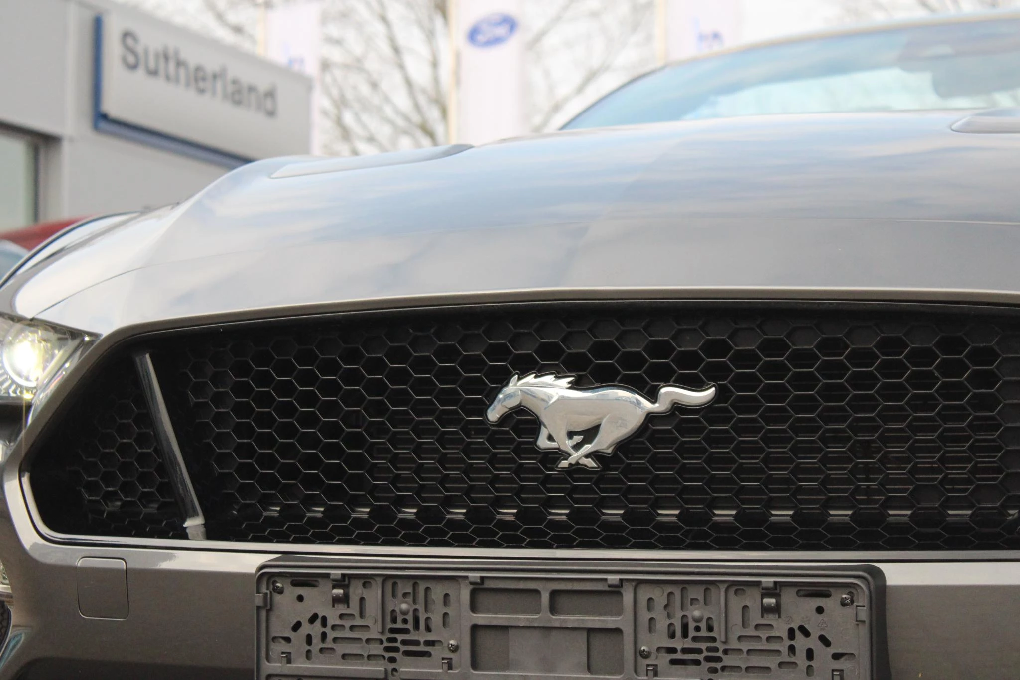 Hoofdafbeelding Ford Mustang