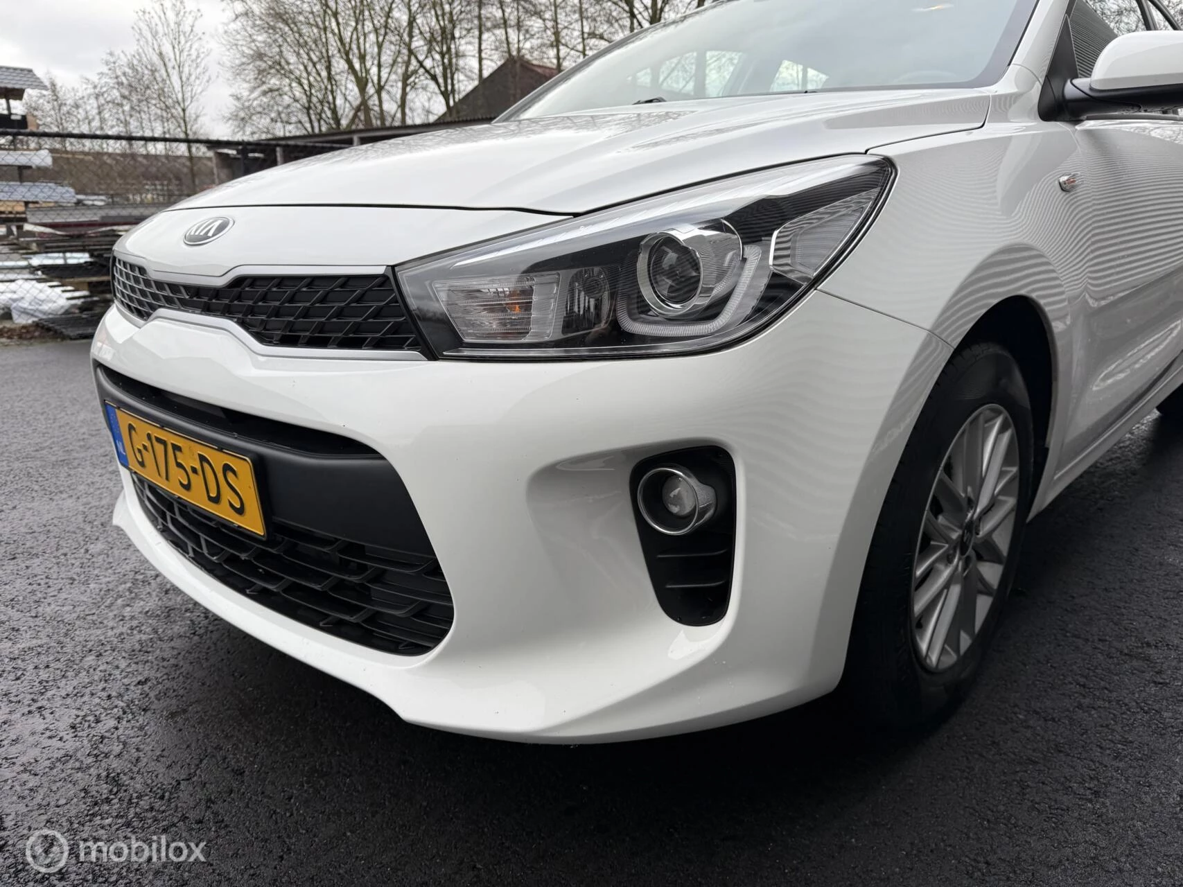 Hoofdafbeelding Kia Rio