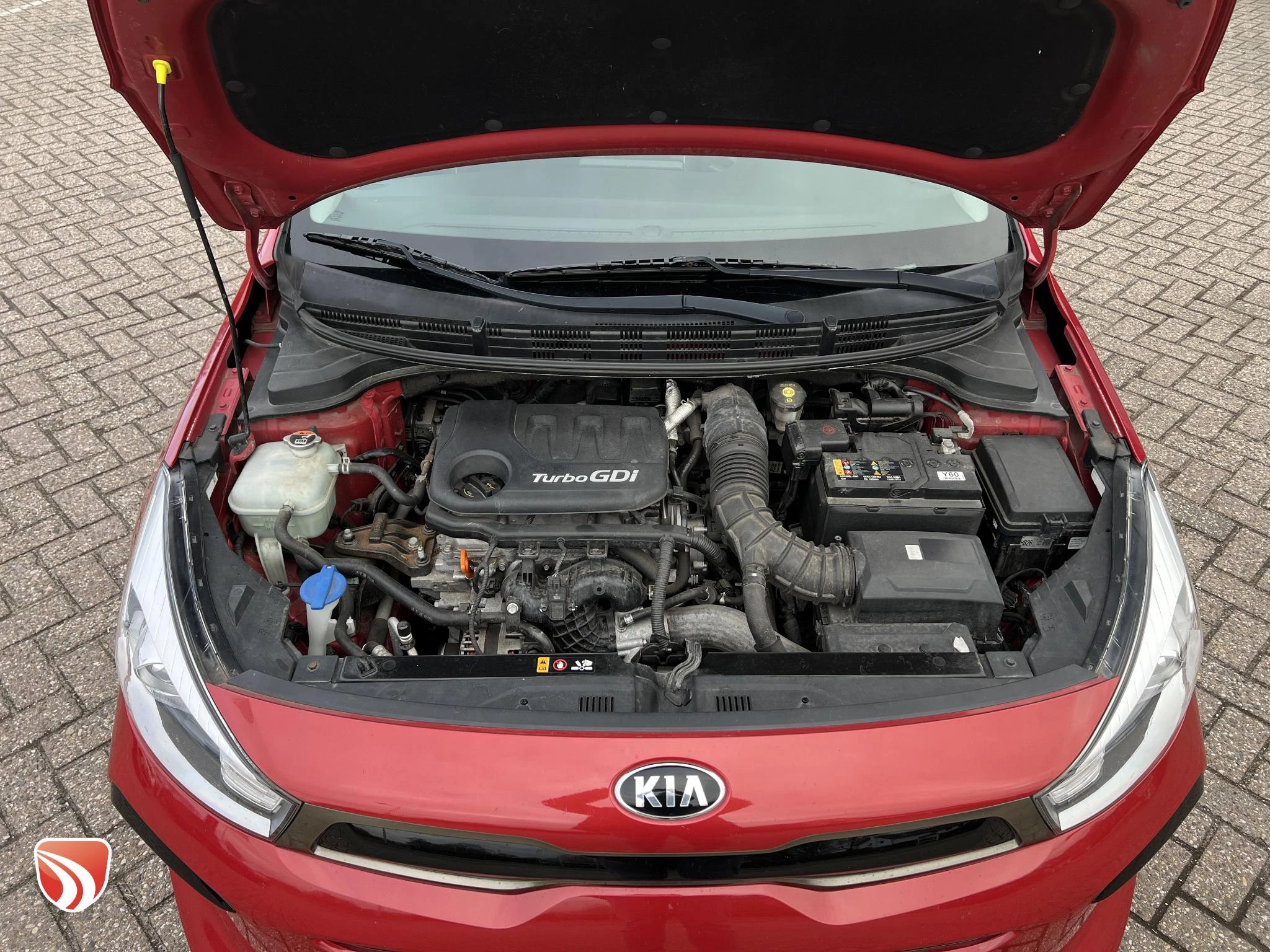 Hoofdafbeelding Kia Rio