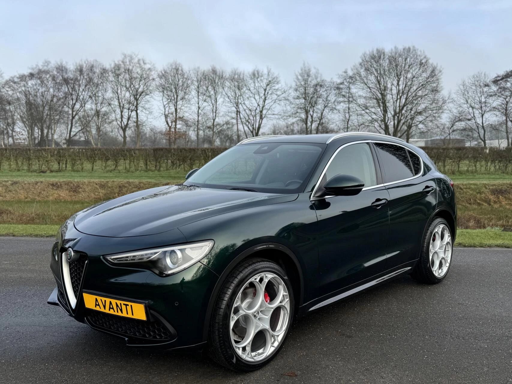 Hoofdafbeelding Alfa Romeo Stelvio
