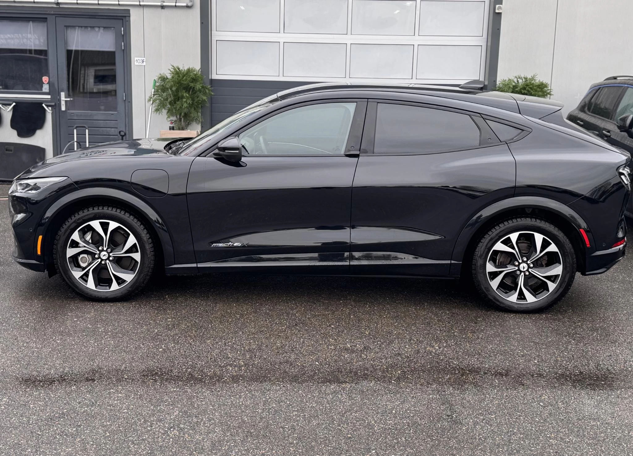 Hoofdafbeelding Ford Mustang Mach-E