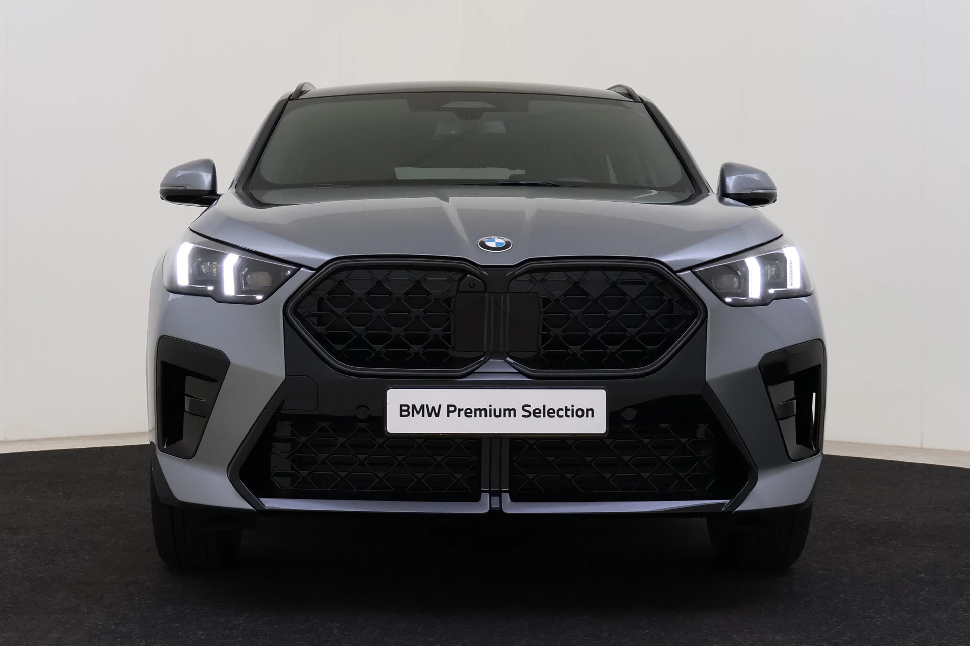 Hoofdafbeelding BMW X2