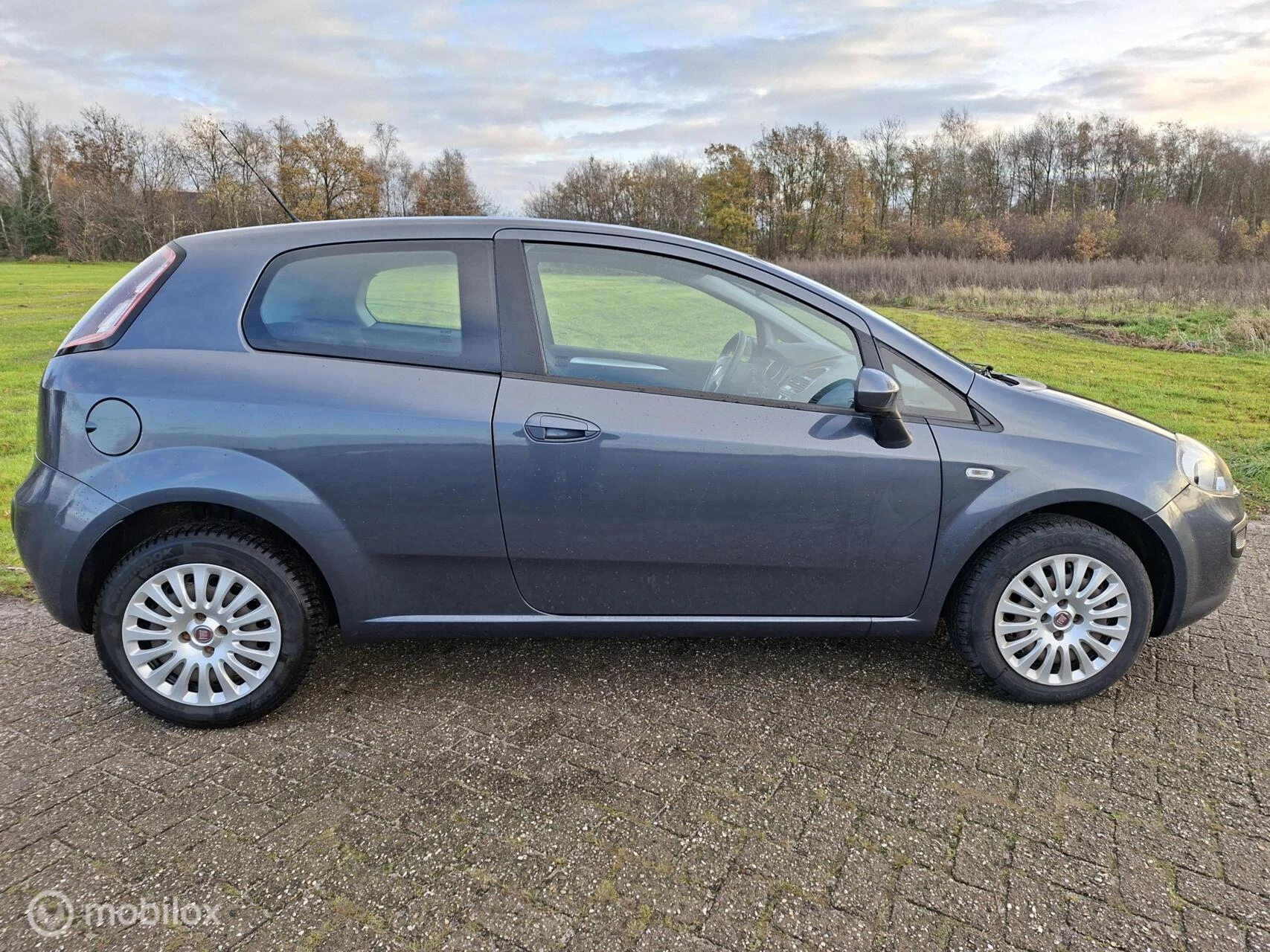 Hoofdafbeelding Fiat Punto