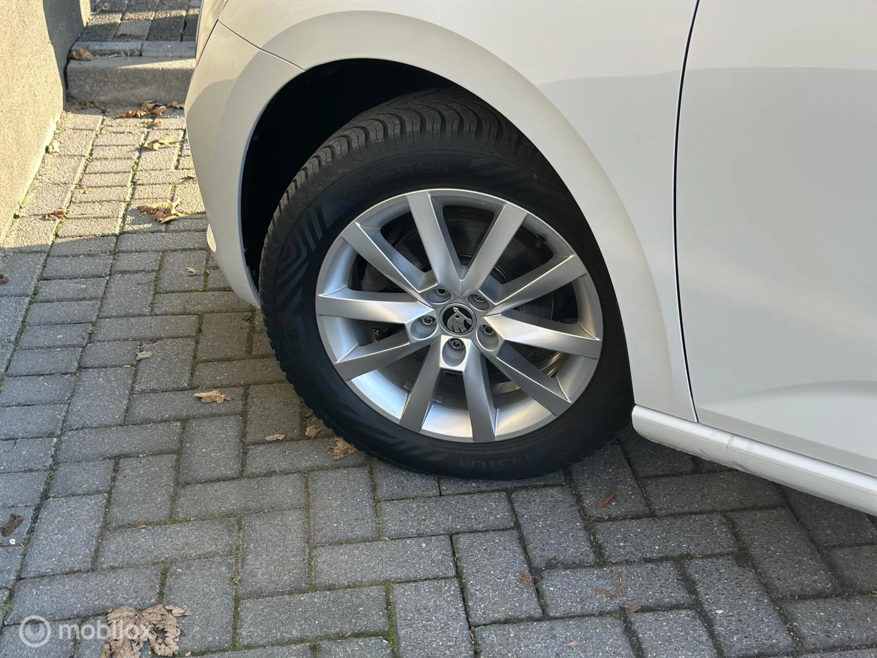 Hoofdafbeelding Škoda Scala