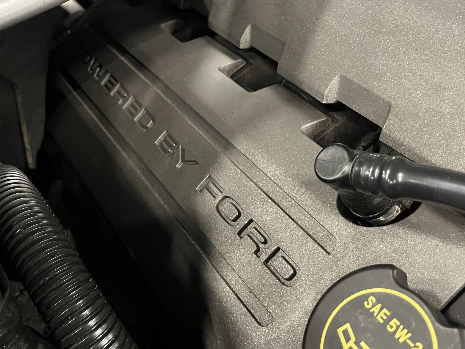 Hoofdafbeelding Ford Mustang