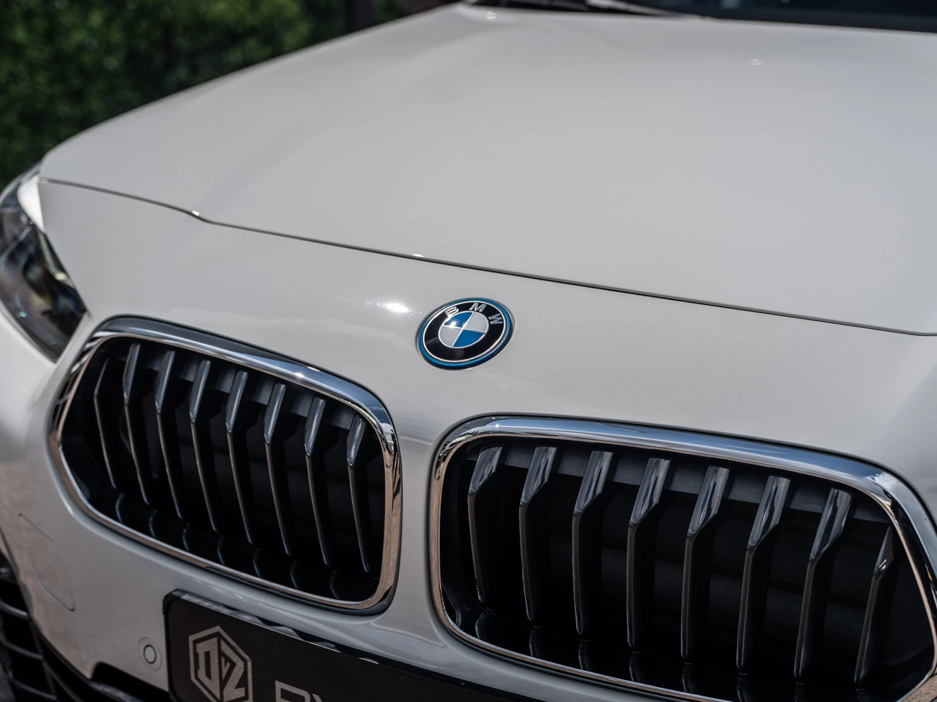 Hoofdafbeelding BMW X2