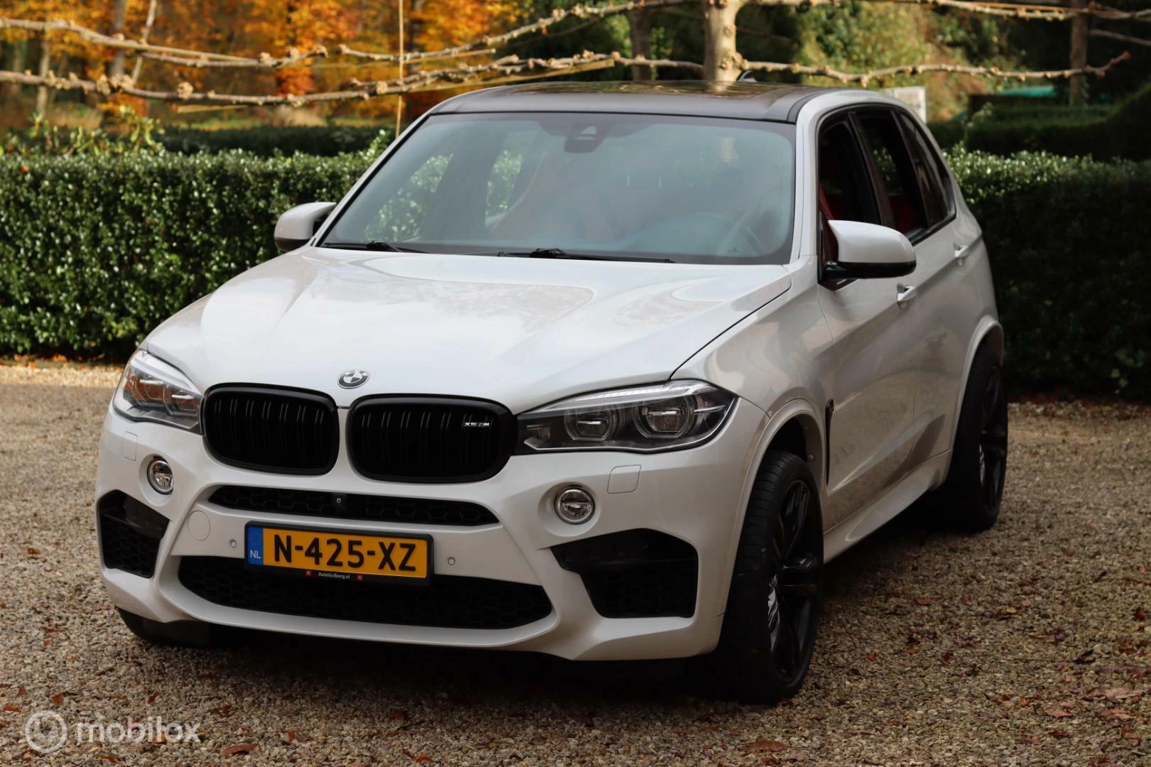 Hoofdafbeelding BMW X5