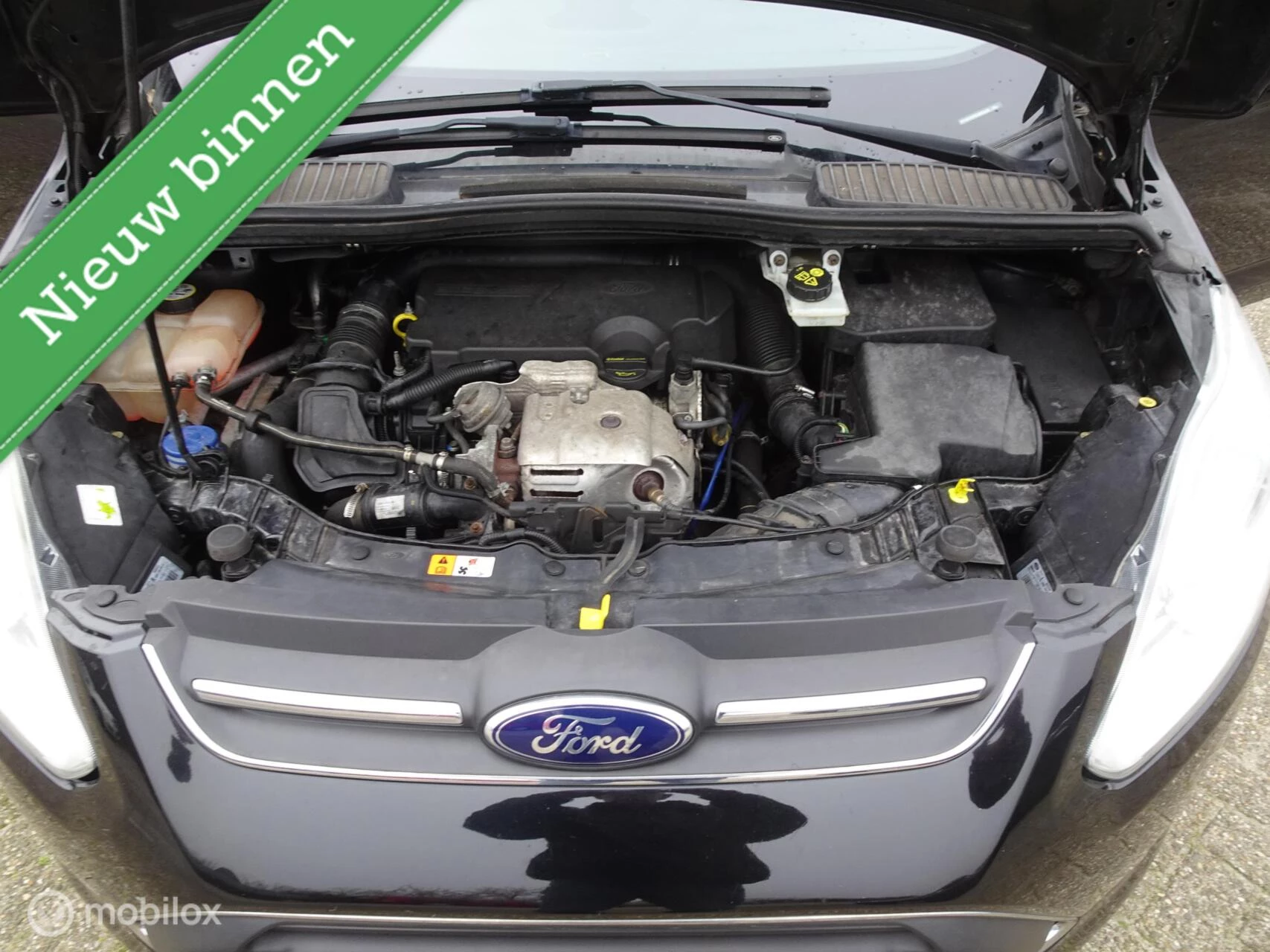 Hoofdafbeelding Ford C-MAX