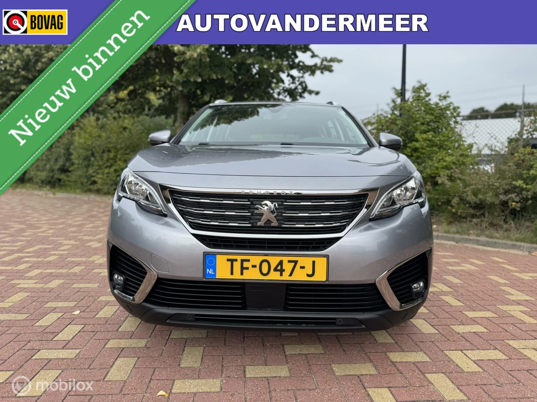 Hoofdafbeelding Peugeot 5008