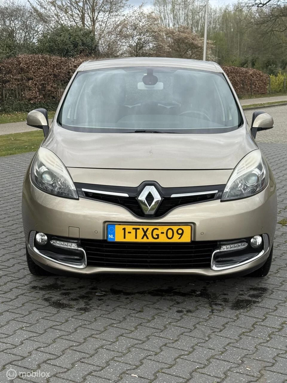 Hoofdafbeelding Renault Scénic
