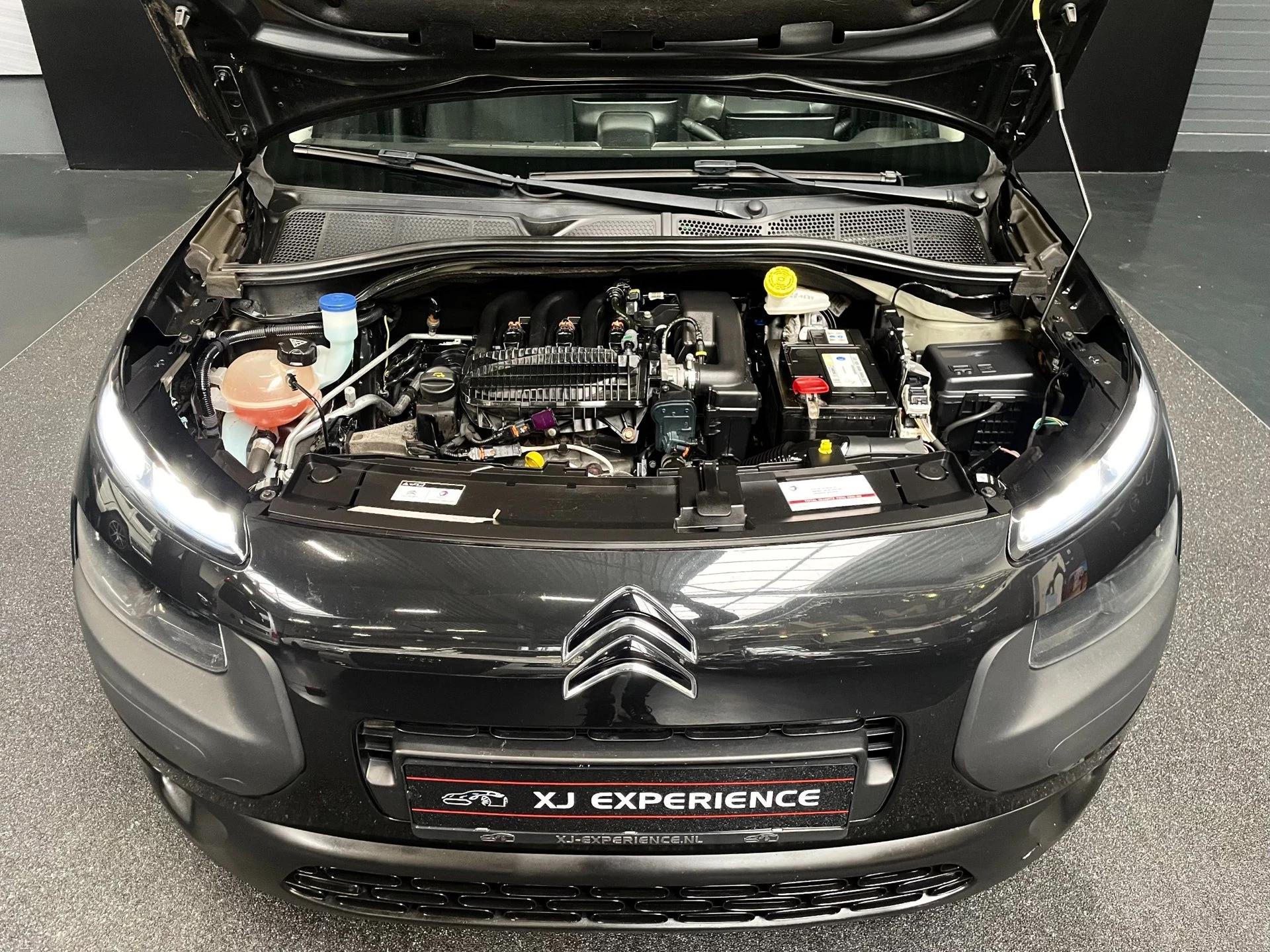 Hoofdafbeelding Citroën C4 Cactus