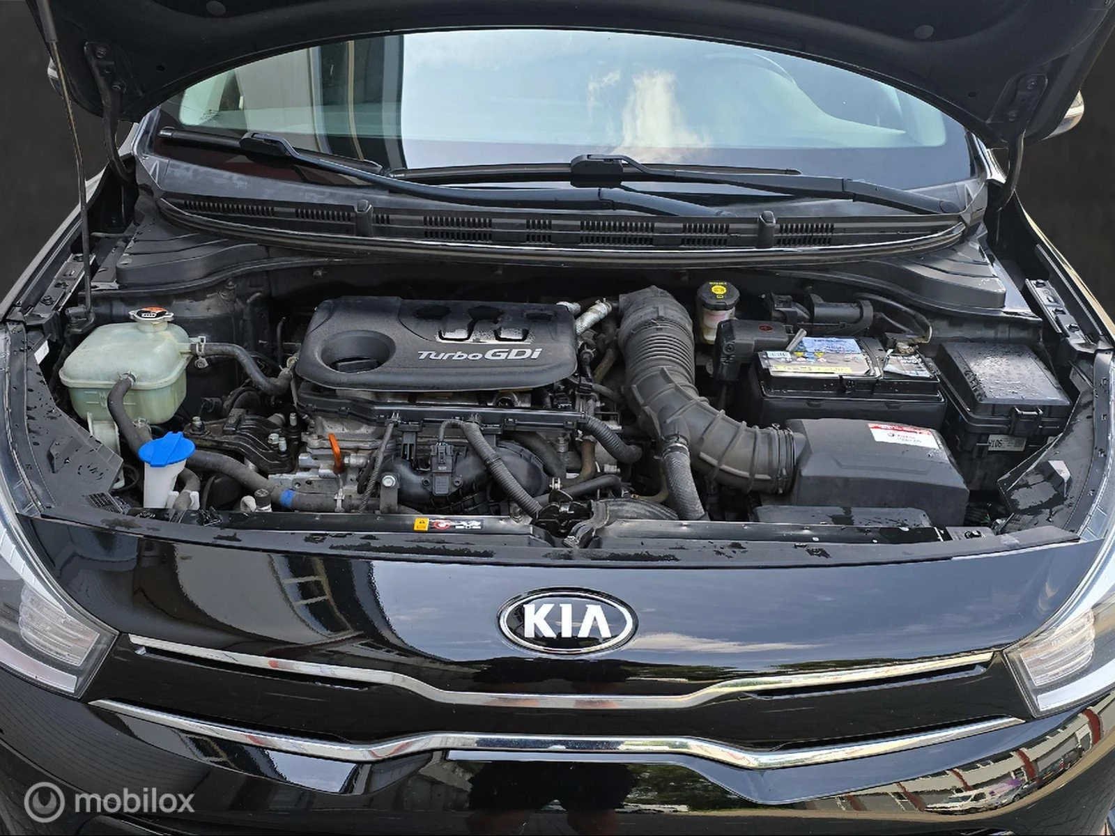 Hoofdafbeelding Kia Rio