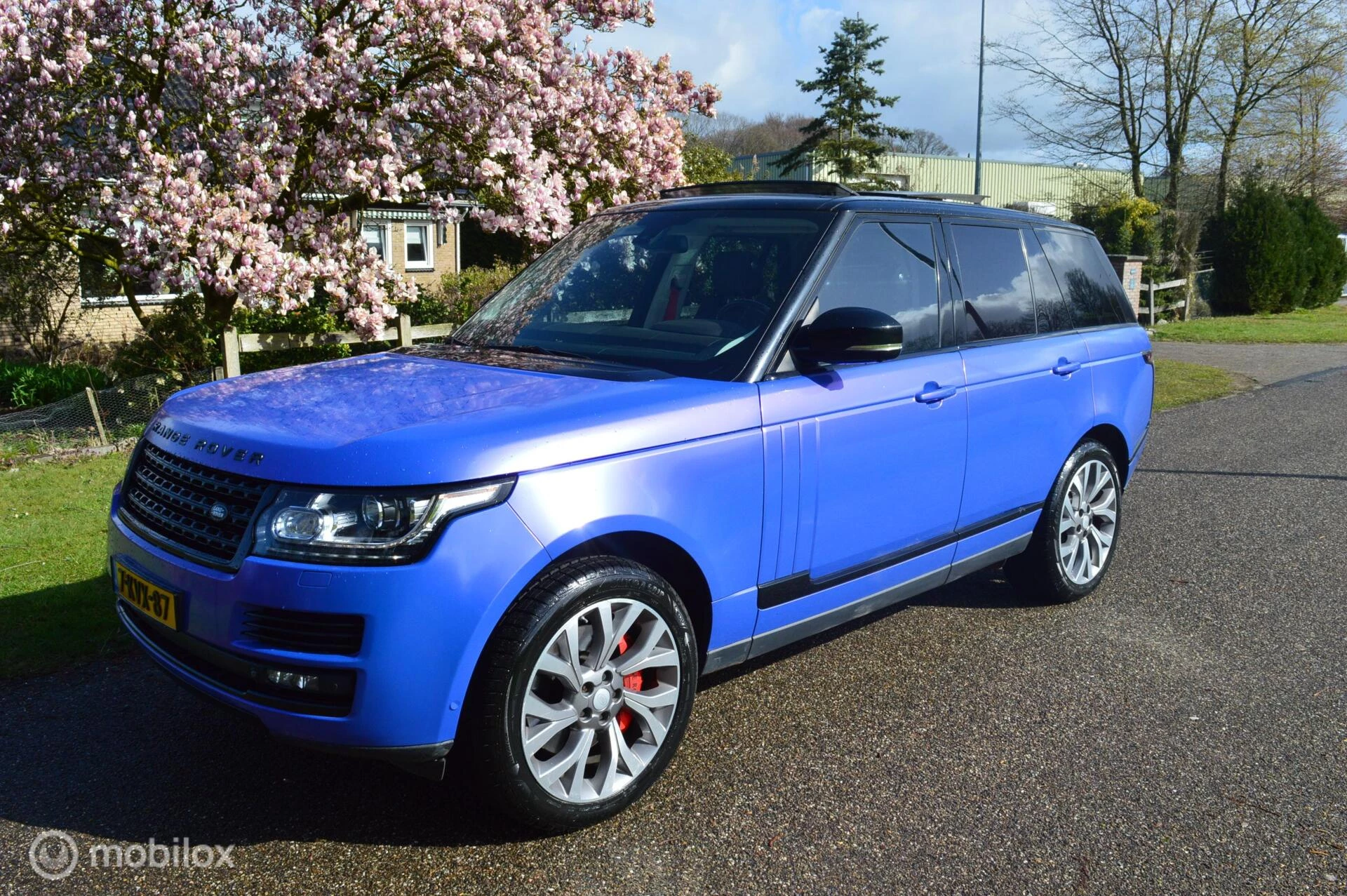 Hoofdafbeelding Land Rover Range Rover