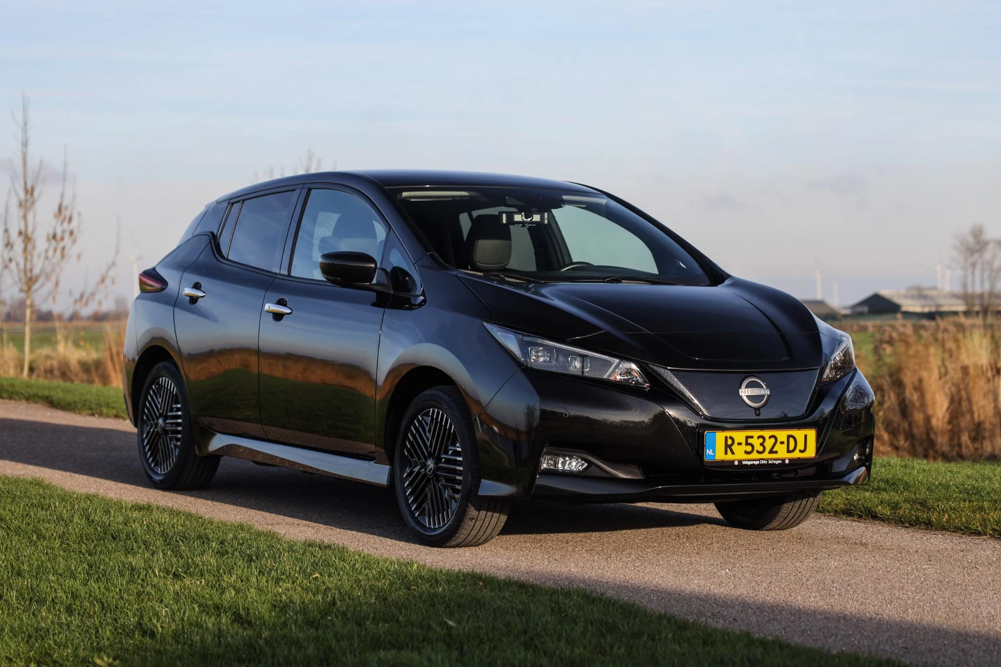 Hoofdafbeelding Nissan Leaf