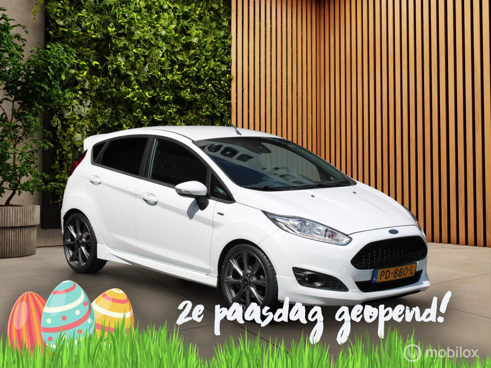 Hoofdafbeelding Ford Fiesta