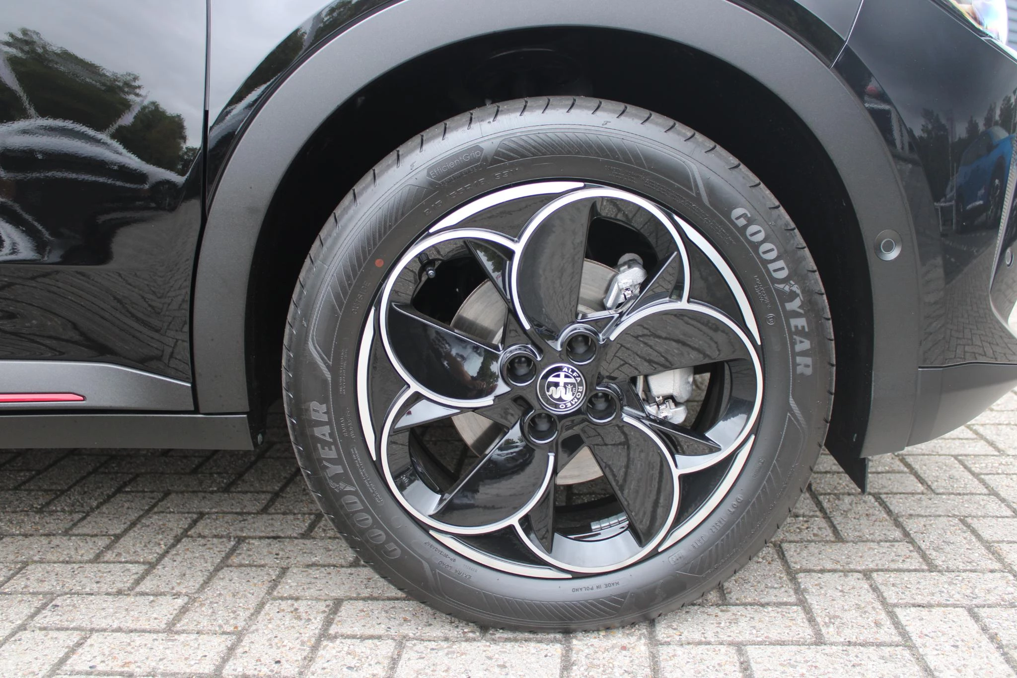 Hoofdafbeelding Alfa Romeo Junior