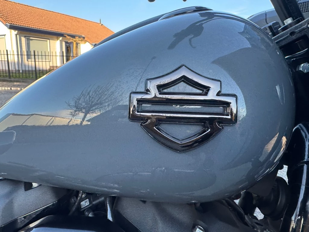 Hoofdafbeelding Harley-Davidson Low Rider