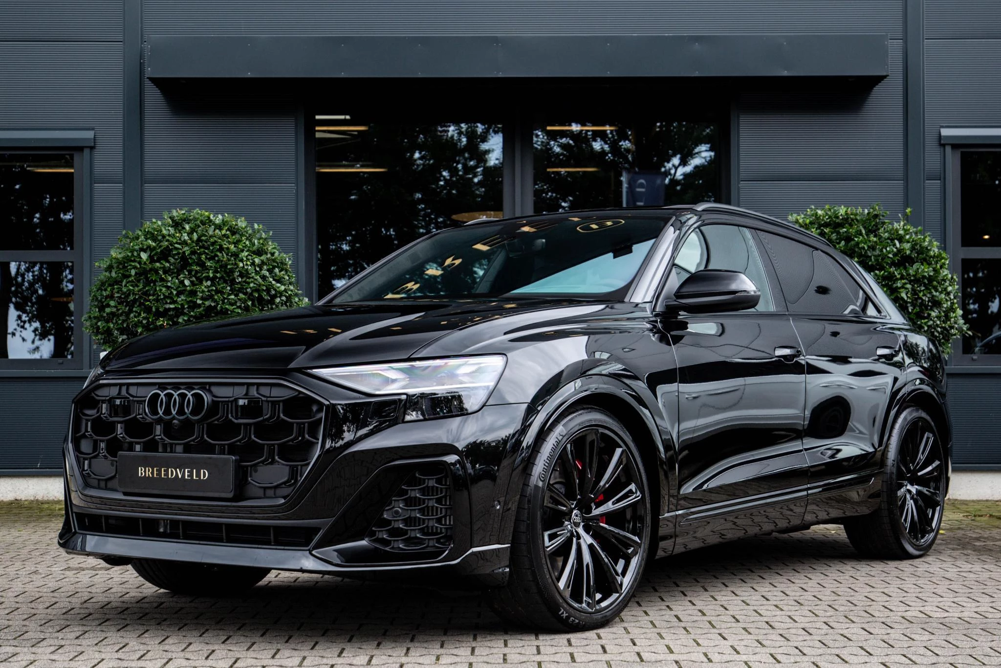 Hoofdafbeelding Audi Q8