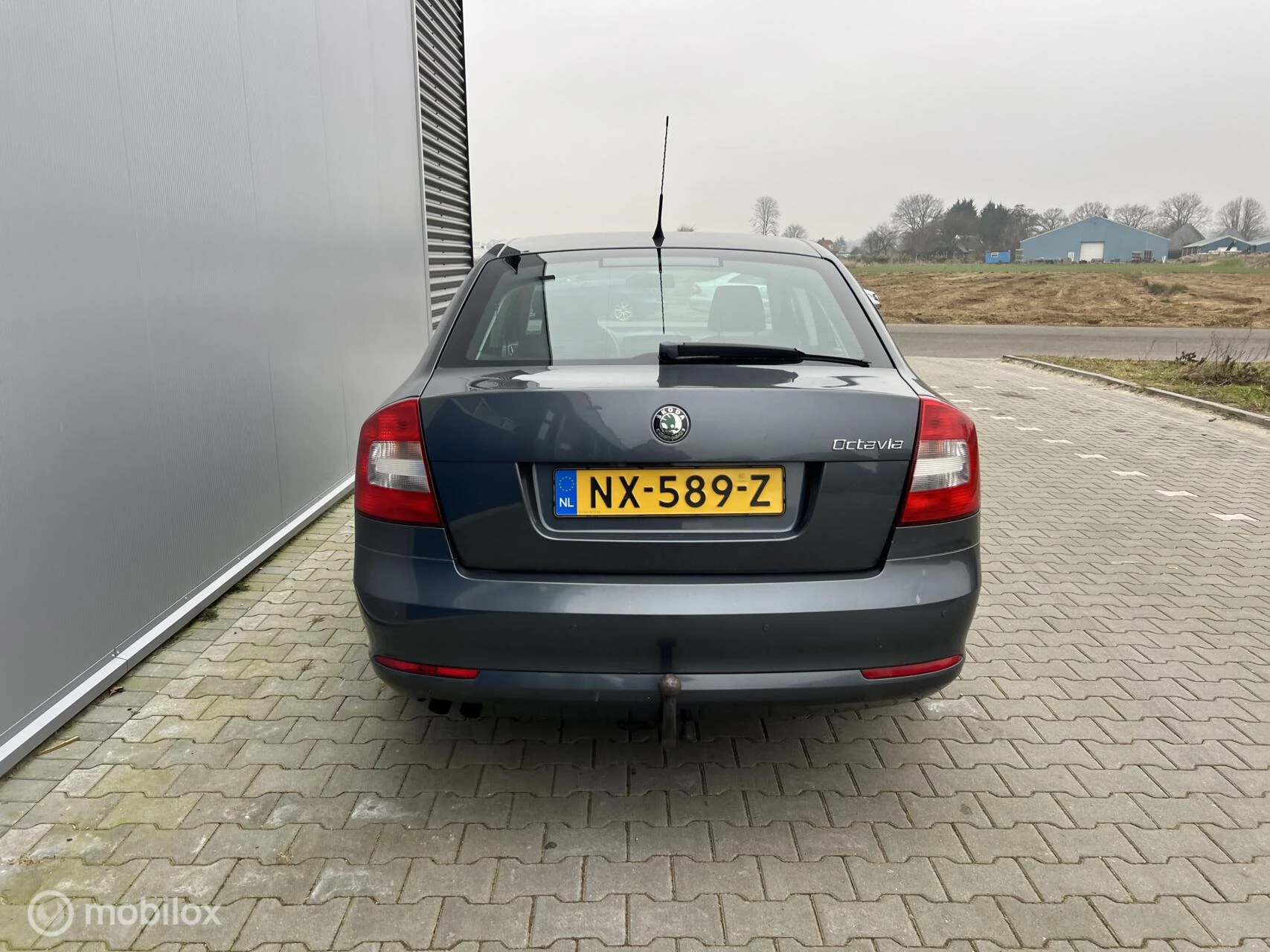 Hoofdafbeelding Škoda Octavia