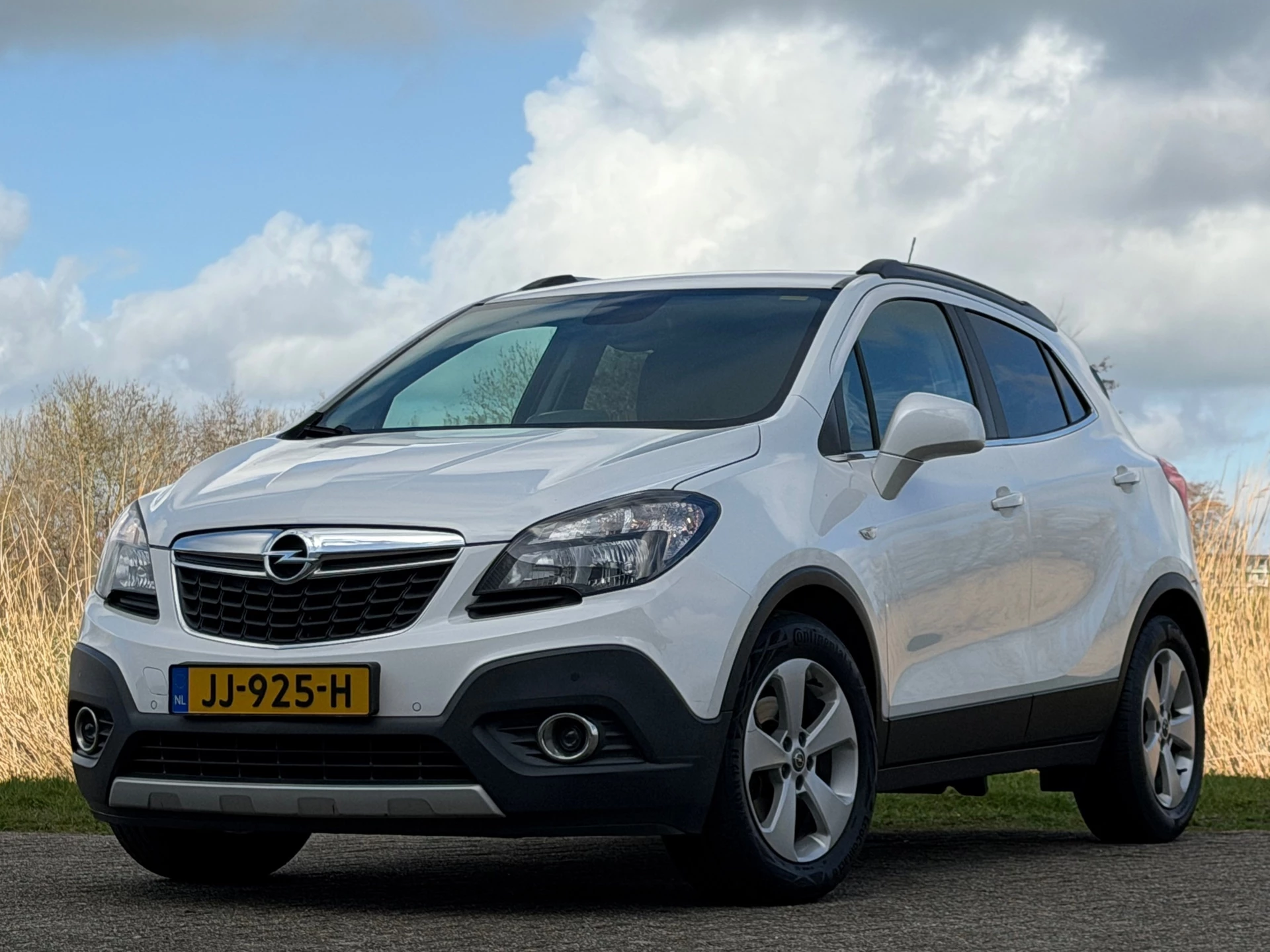 Hoofdafbeelding Opel Mokka