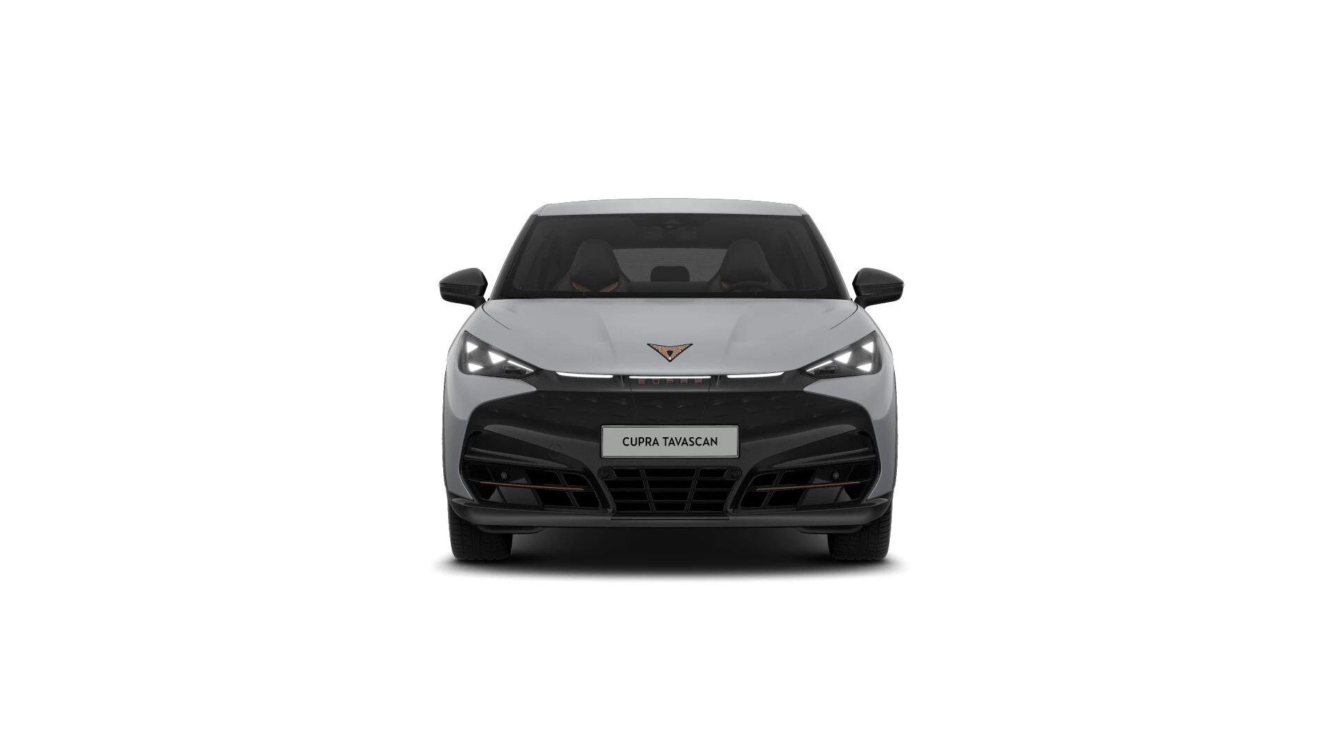 Hoofdafbeelding CUPRA Tavascan