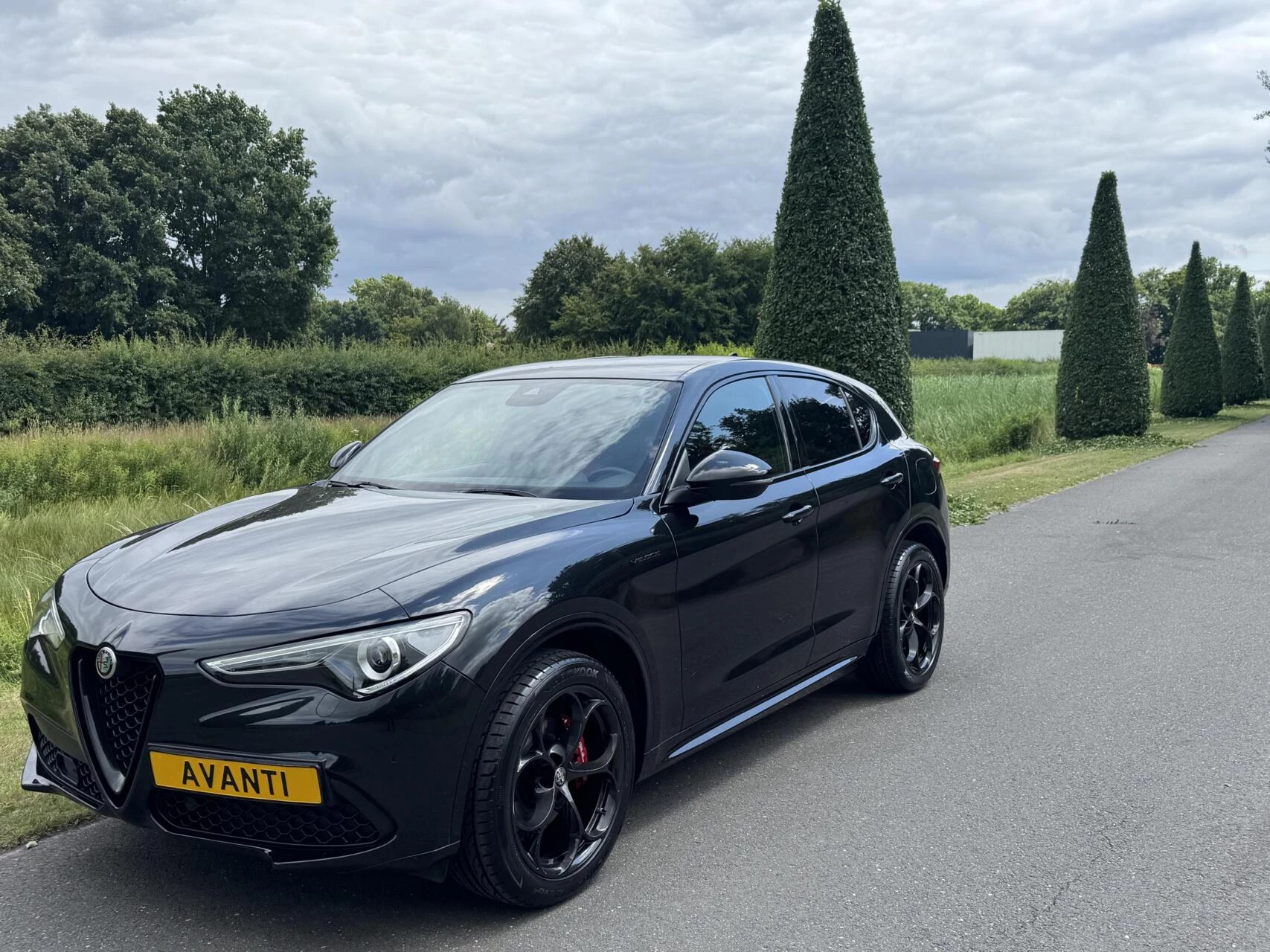 Hoofdafbeelding Alfa Romeo Stelvio