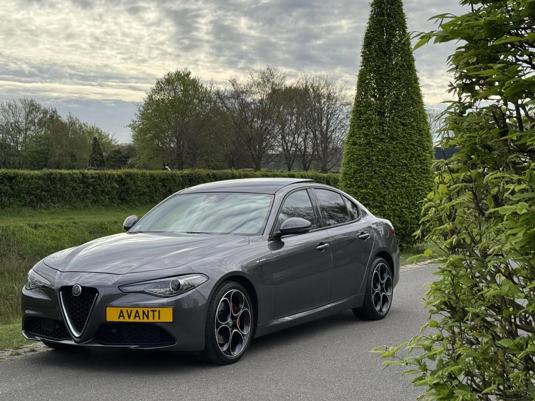 Hoofdafbeelding Alfa Romeo Giulia